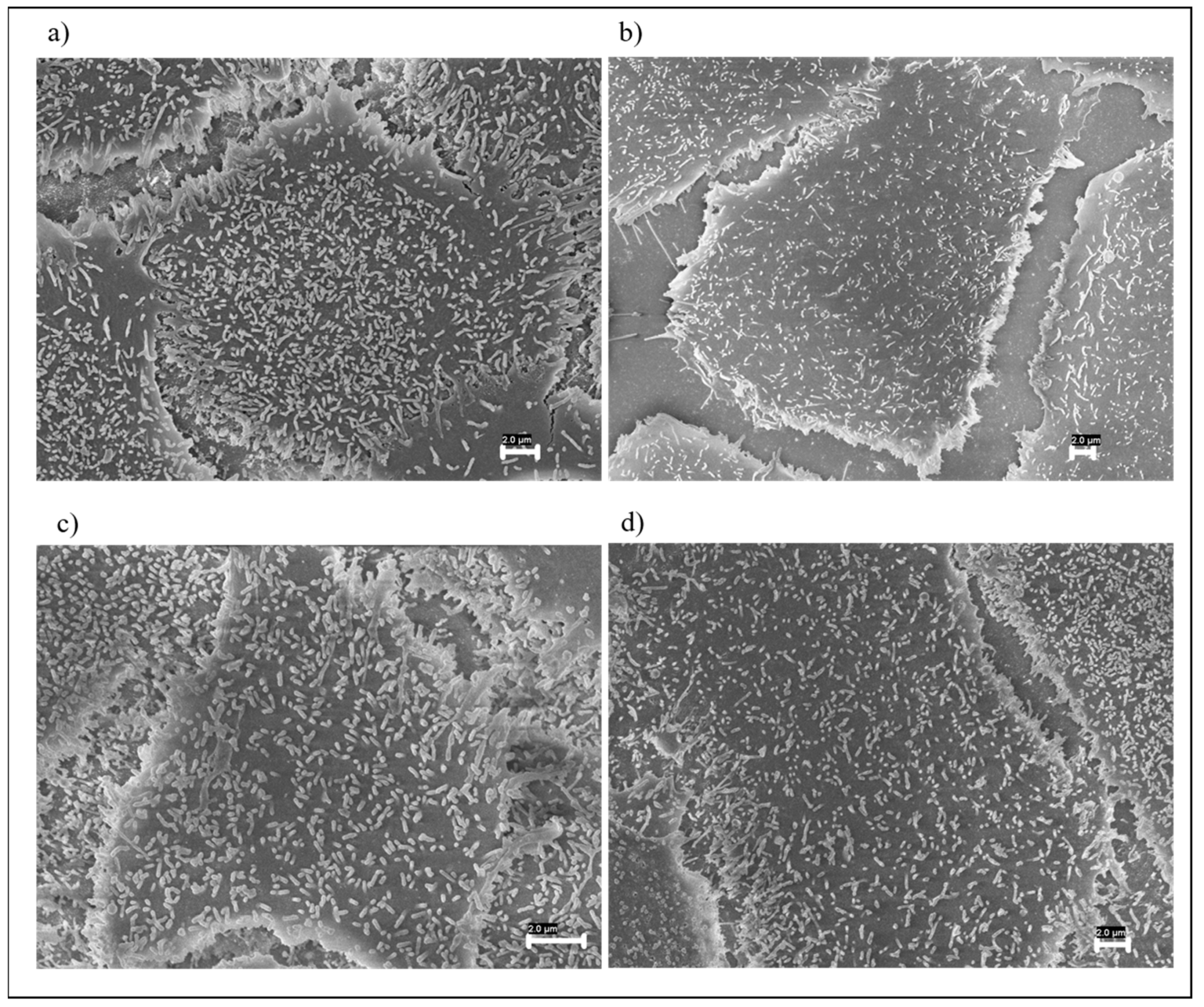 Nanomaterials 12 01405 g005 Nanomaterials 12 01405 g005