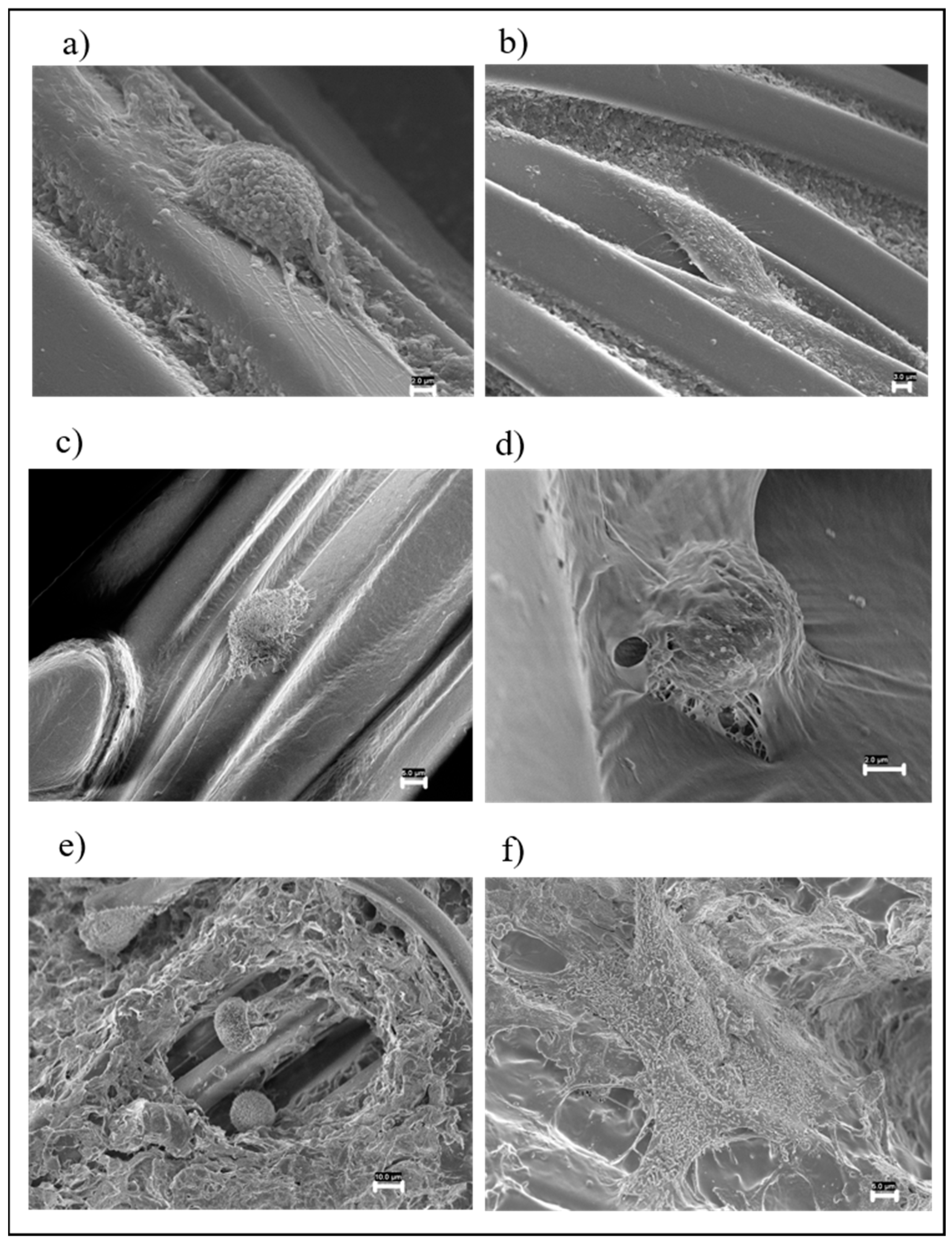 Nanomaterials 12 01405 g006 Nanomaterials 12 01405 g006