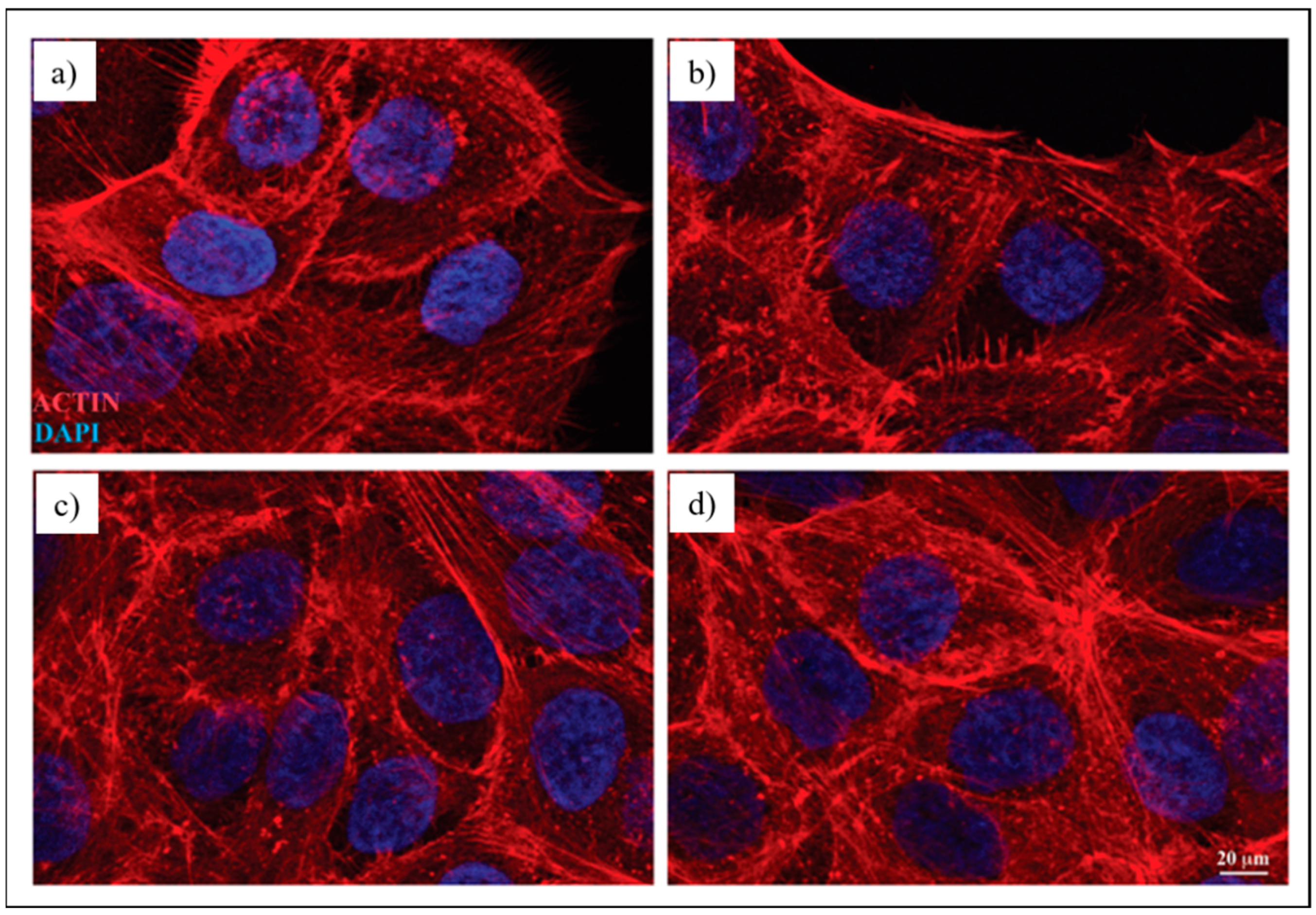 Nanomaterials 12 01405 g007 Nanomaterials 12 01405 g007