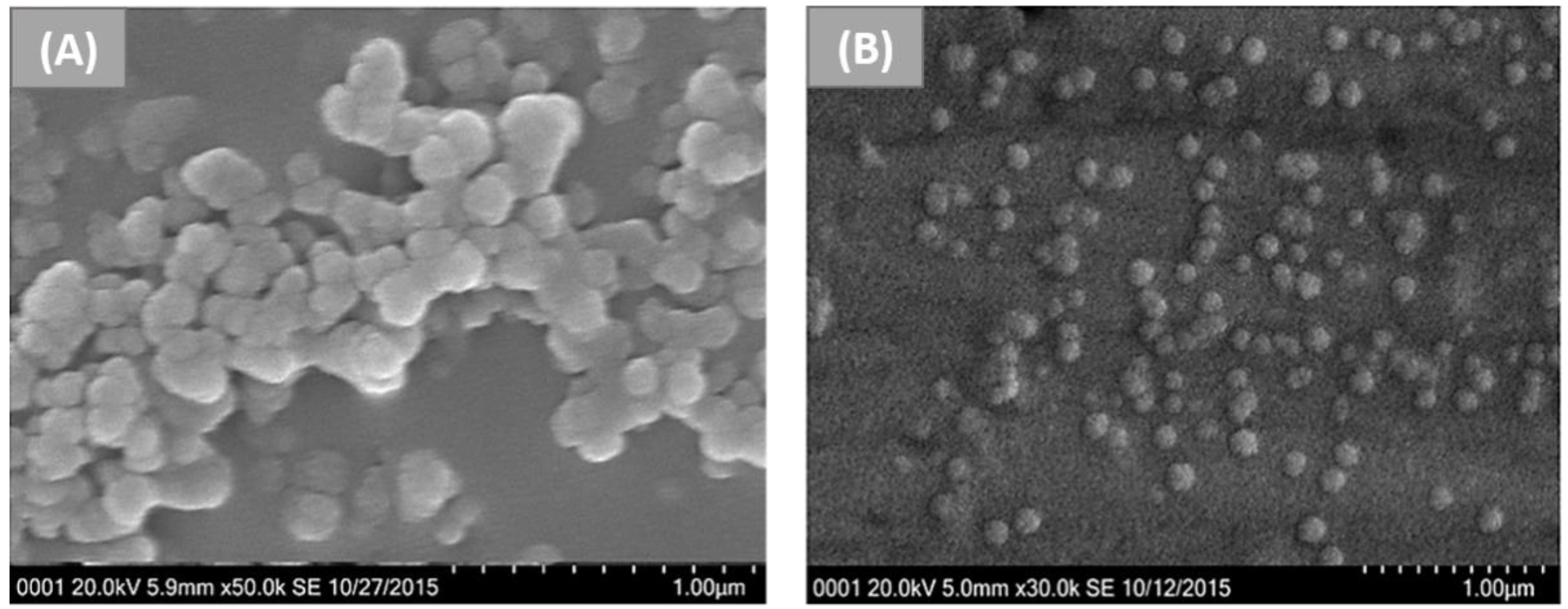 Nanomaterials 12 01406 g002 Nanomaterials 12 01406 g002