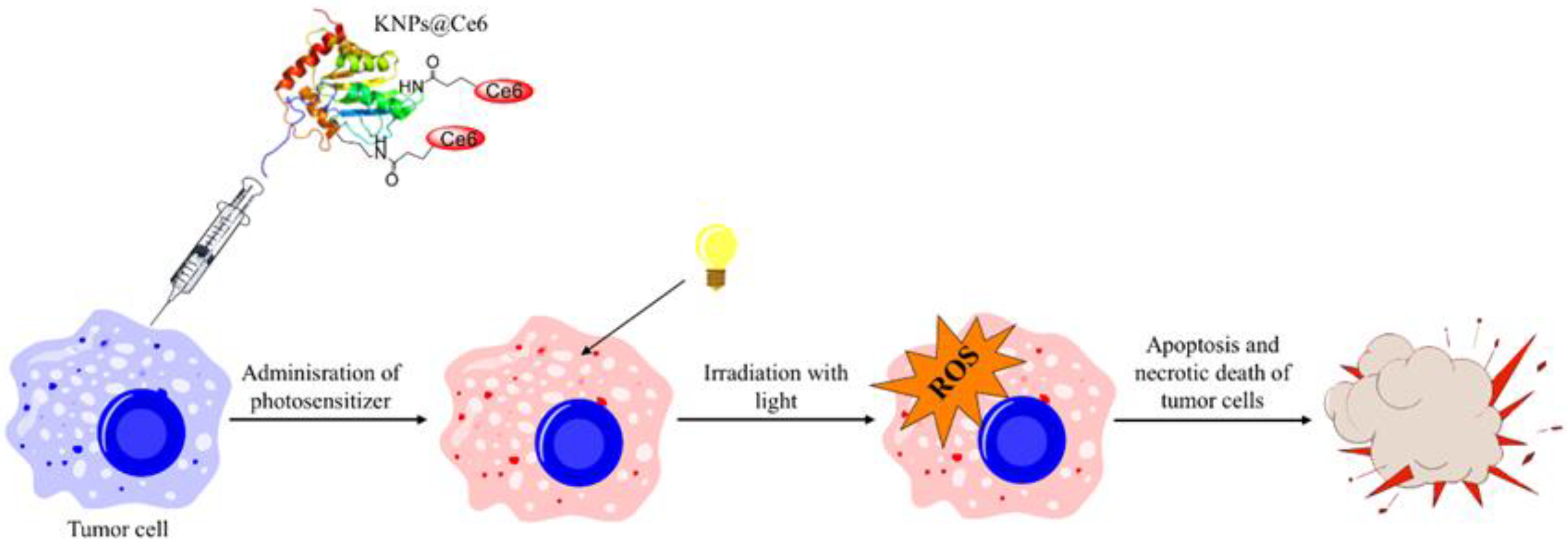 Nanomaterials 12 01406 g003 Nanomaterials 12 01406 g003