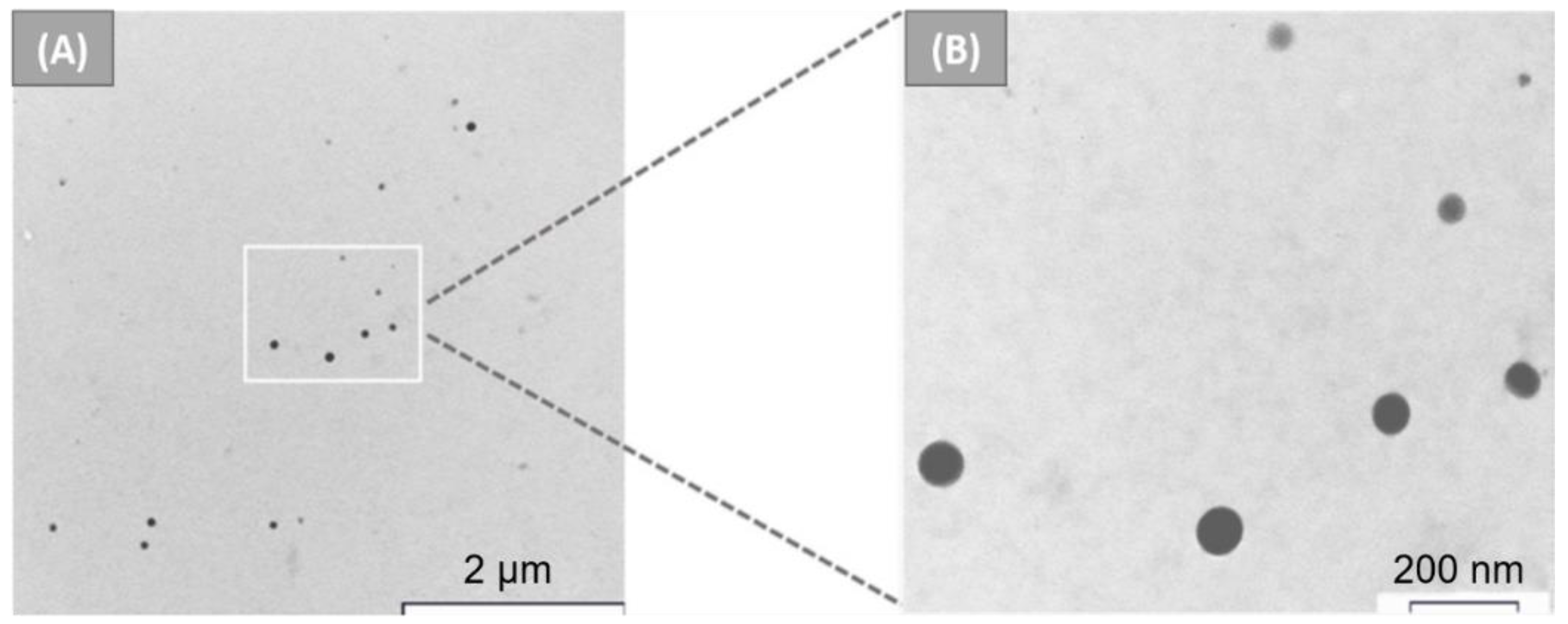 Nanomaterials 12 01406 g007 Nanomaterials 12 01406 g007