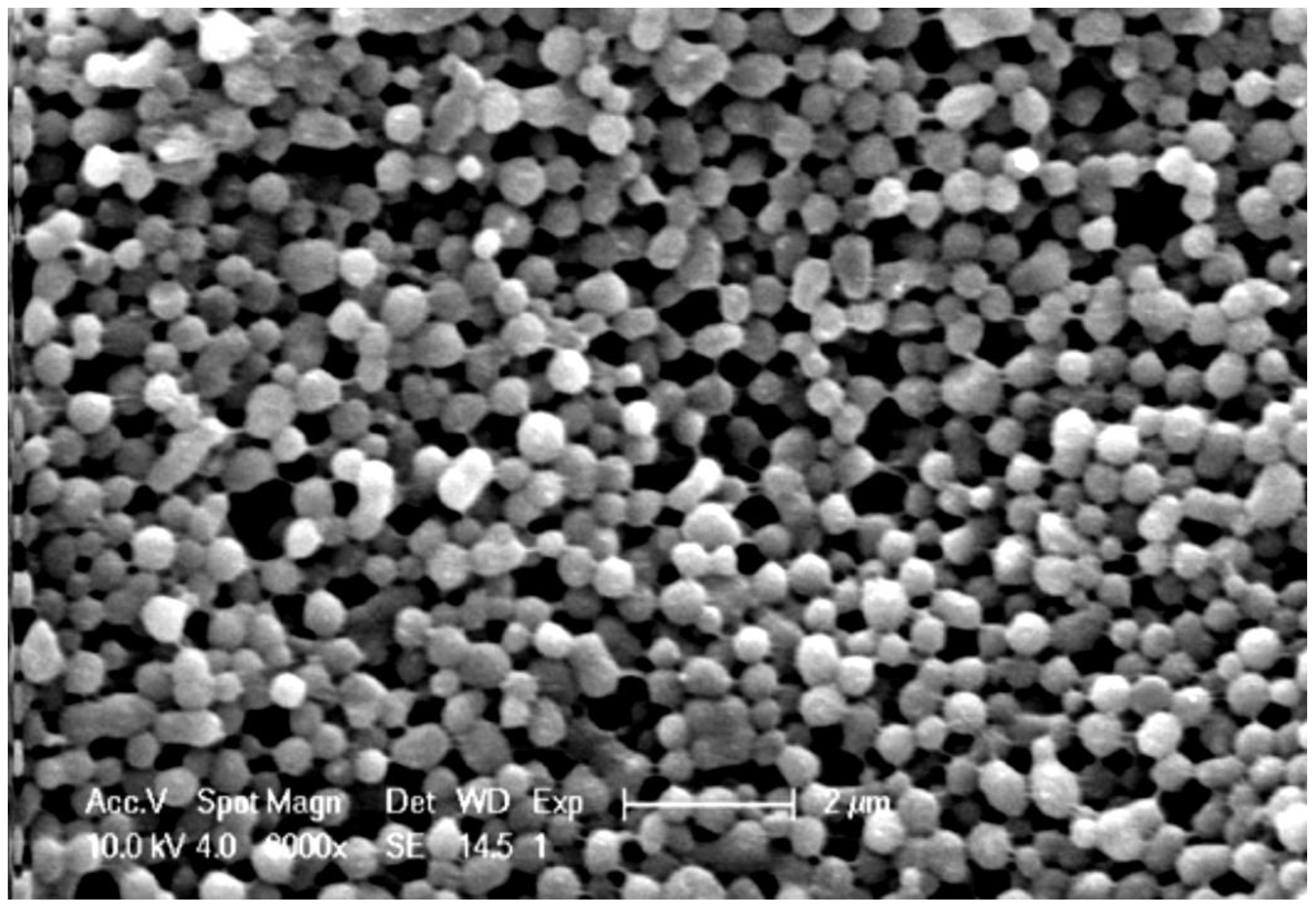 Nanomaterials 12 01406 g008 Nanomaterials 12 01406 g008