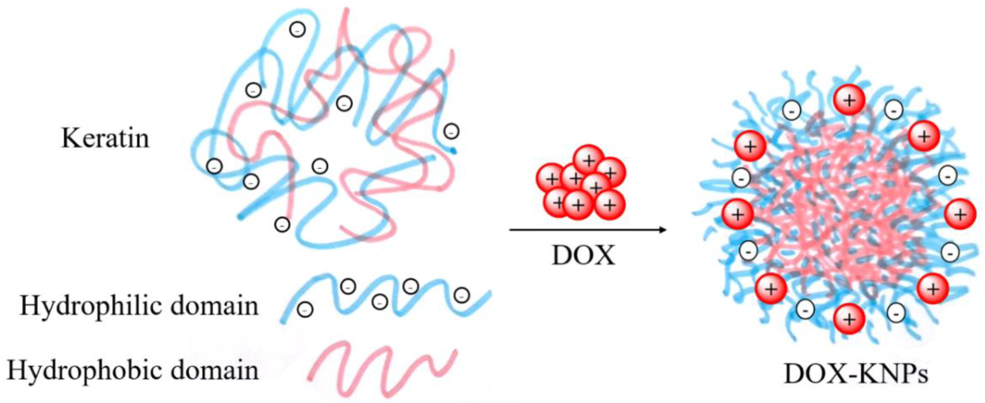 Nanomaterials 12 01406 g011 Nanomaterials 12 01406 g011