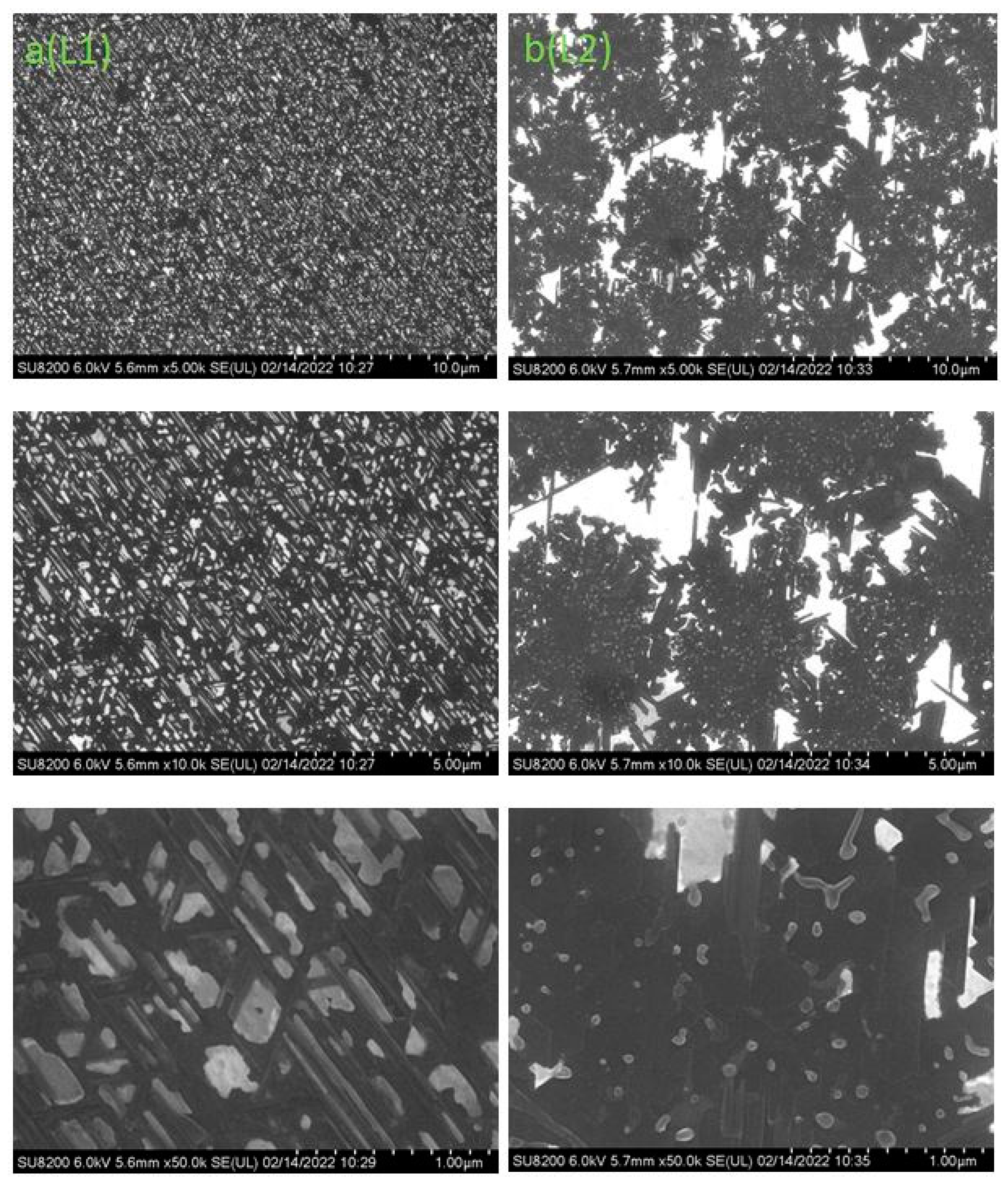 Nanomaterials 12 01407 g010 550