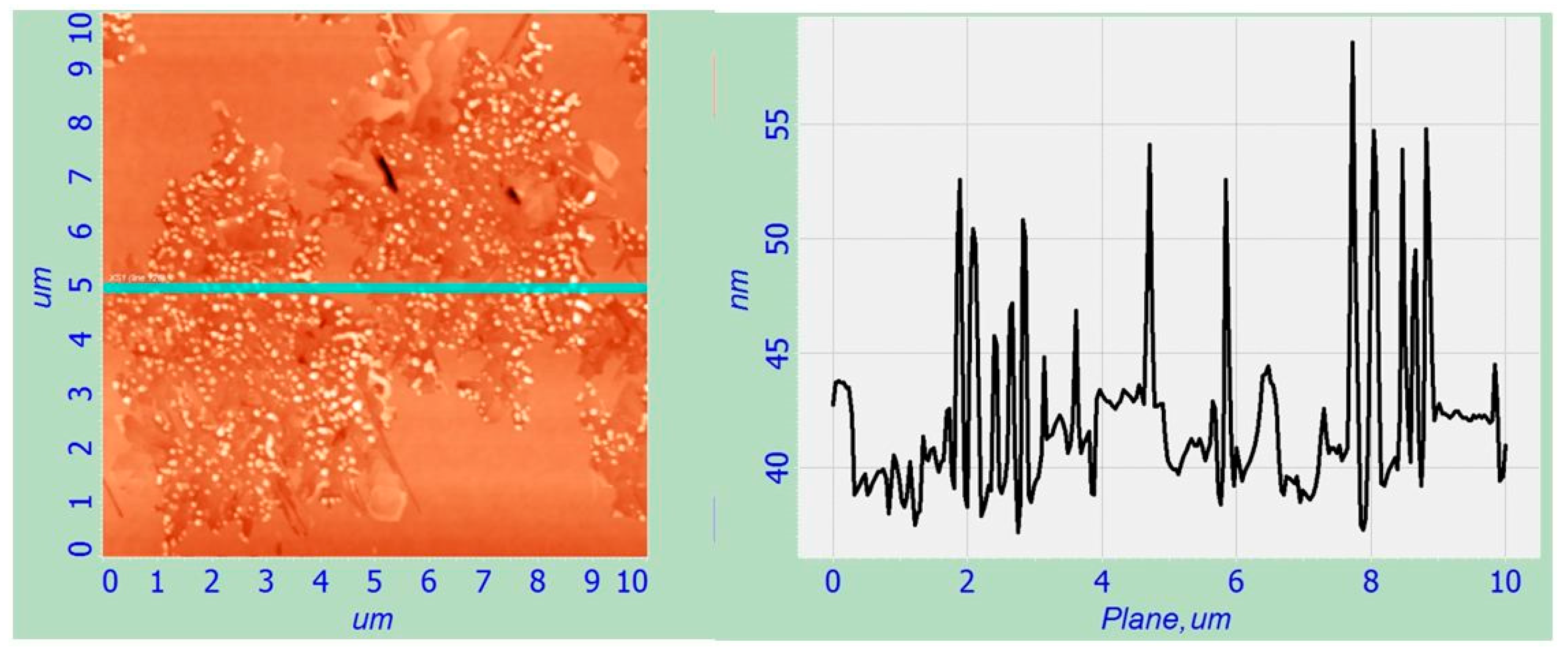 Nanomaterials 12 01407 g012 550