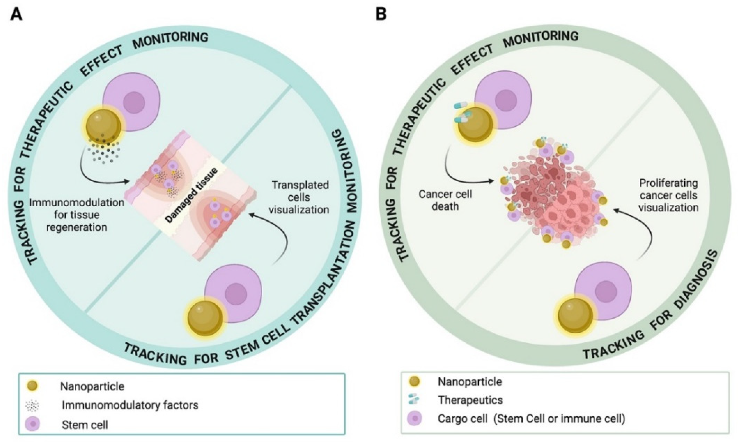 Nanomaterials 12 01414 g002 Nanomaterials 12 01414 g002