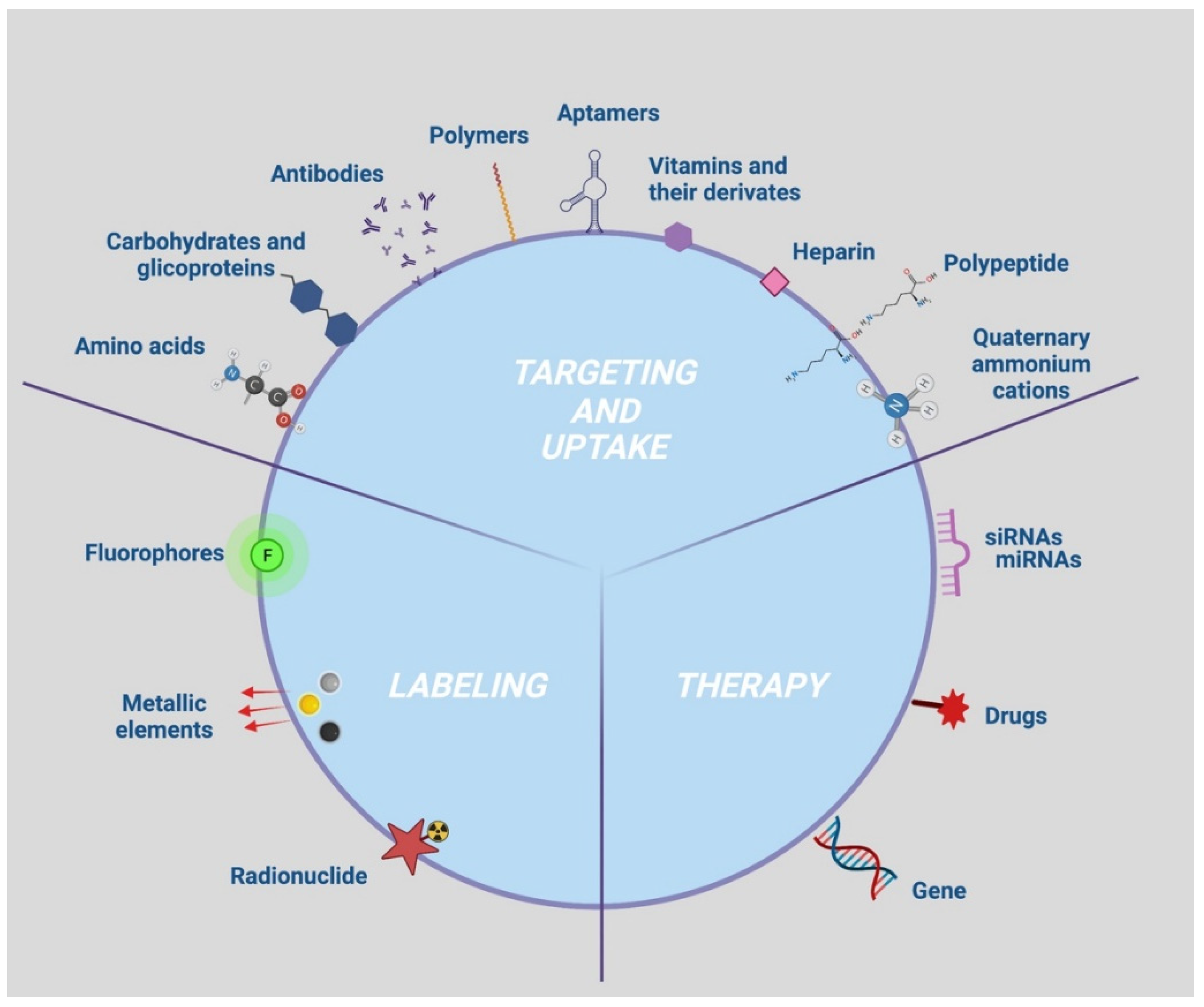 Nanomaterials 12 01414 g004 Nanomaterials 12 01414 g004