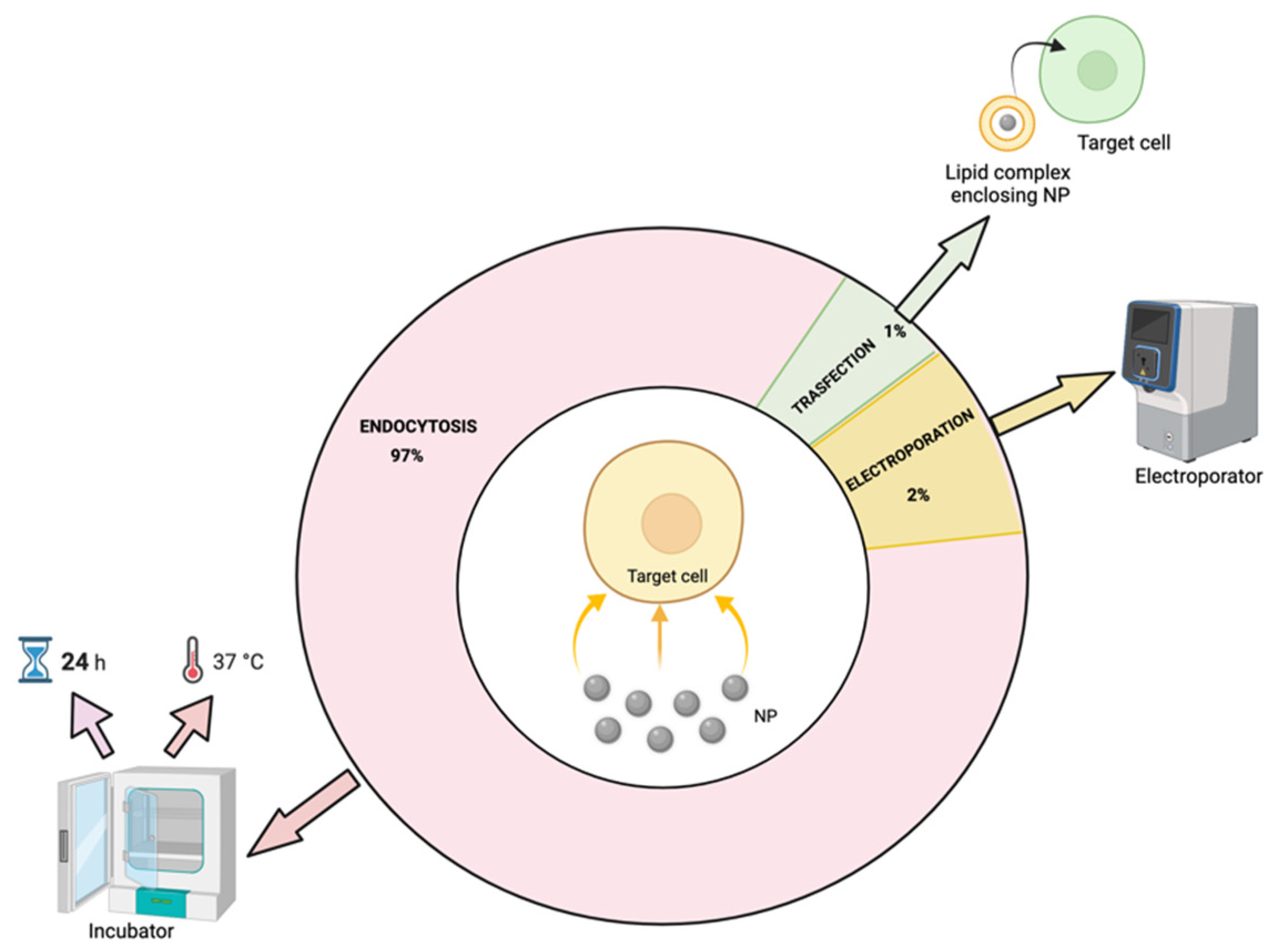Nanomaterials 12 01414 g006 Nanomaterials 12 01414 g006