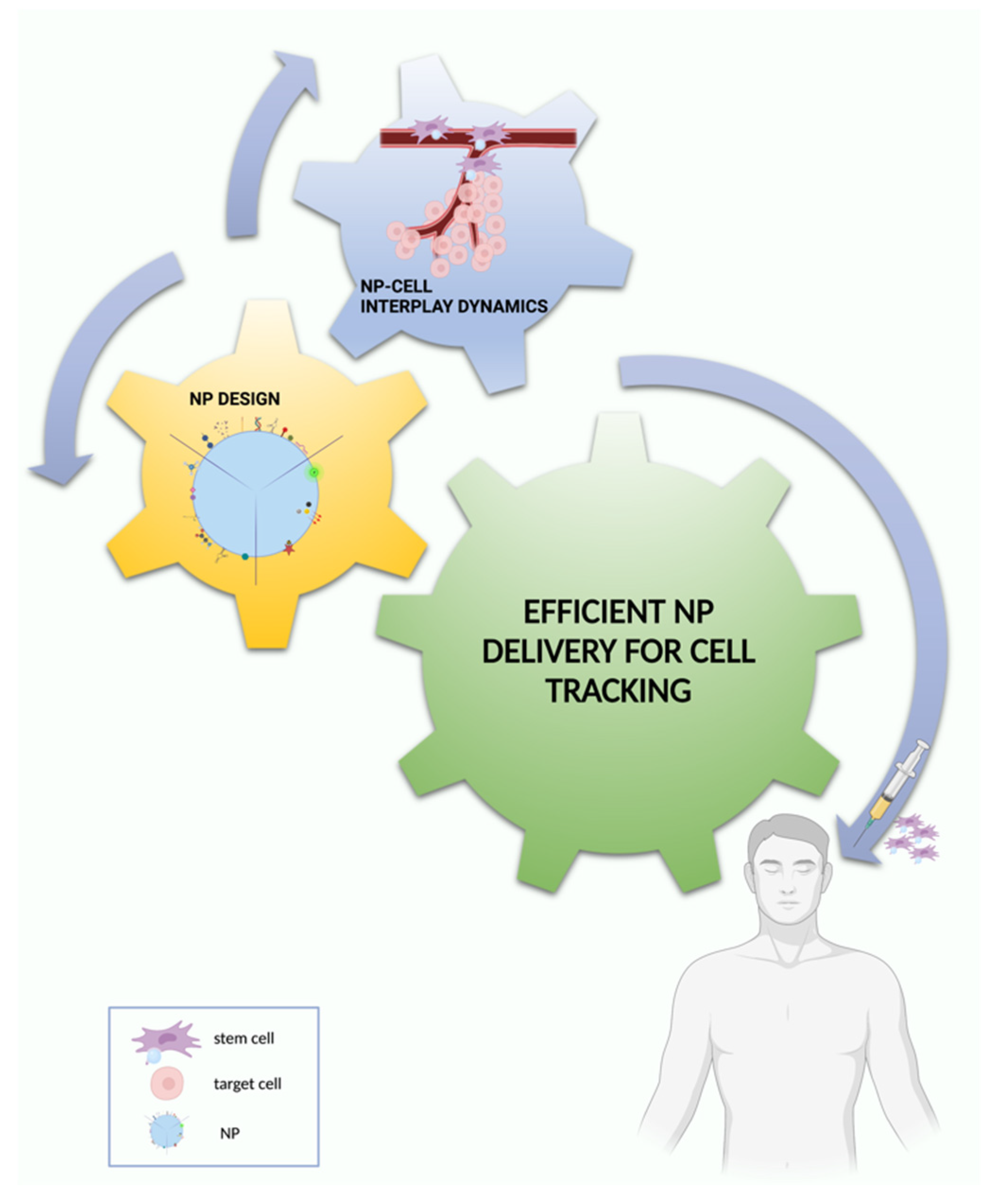 Nanomaterials 12 01414 g008 Nanomaterials 12 01414 g008