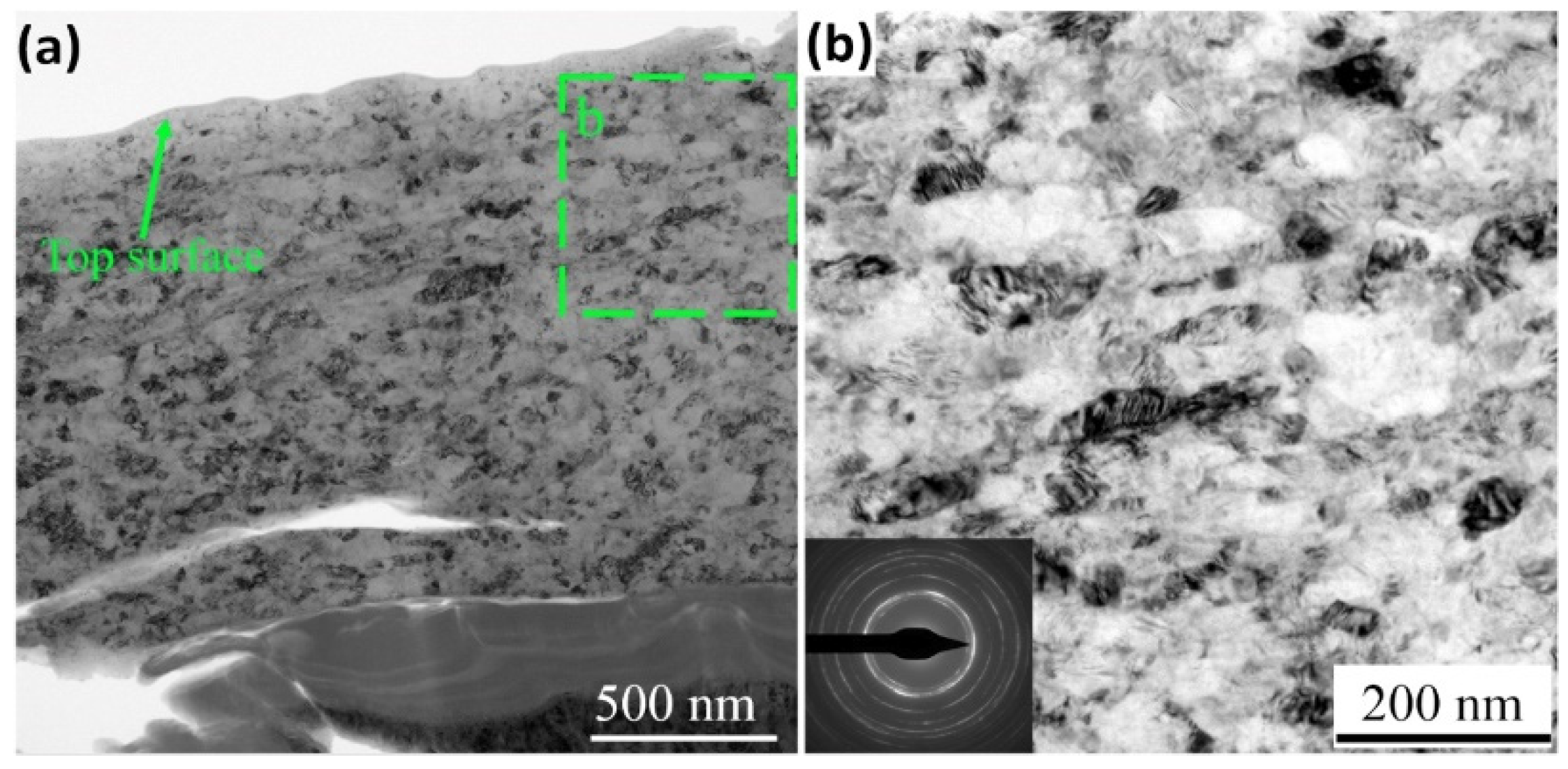 Nanomaterials 12 01415 g005 550
