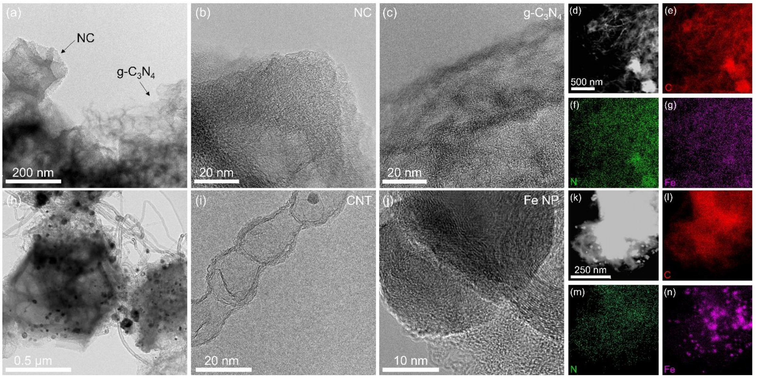Nanomaterials 12 01416 g002 550