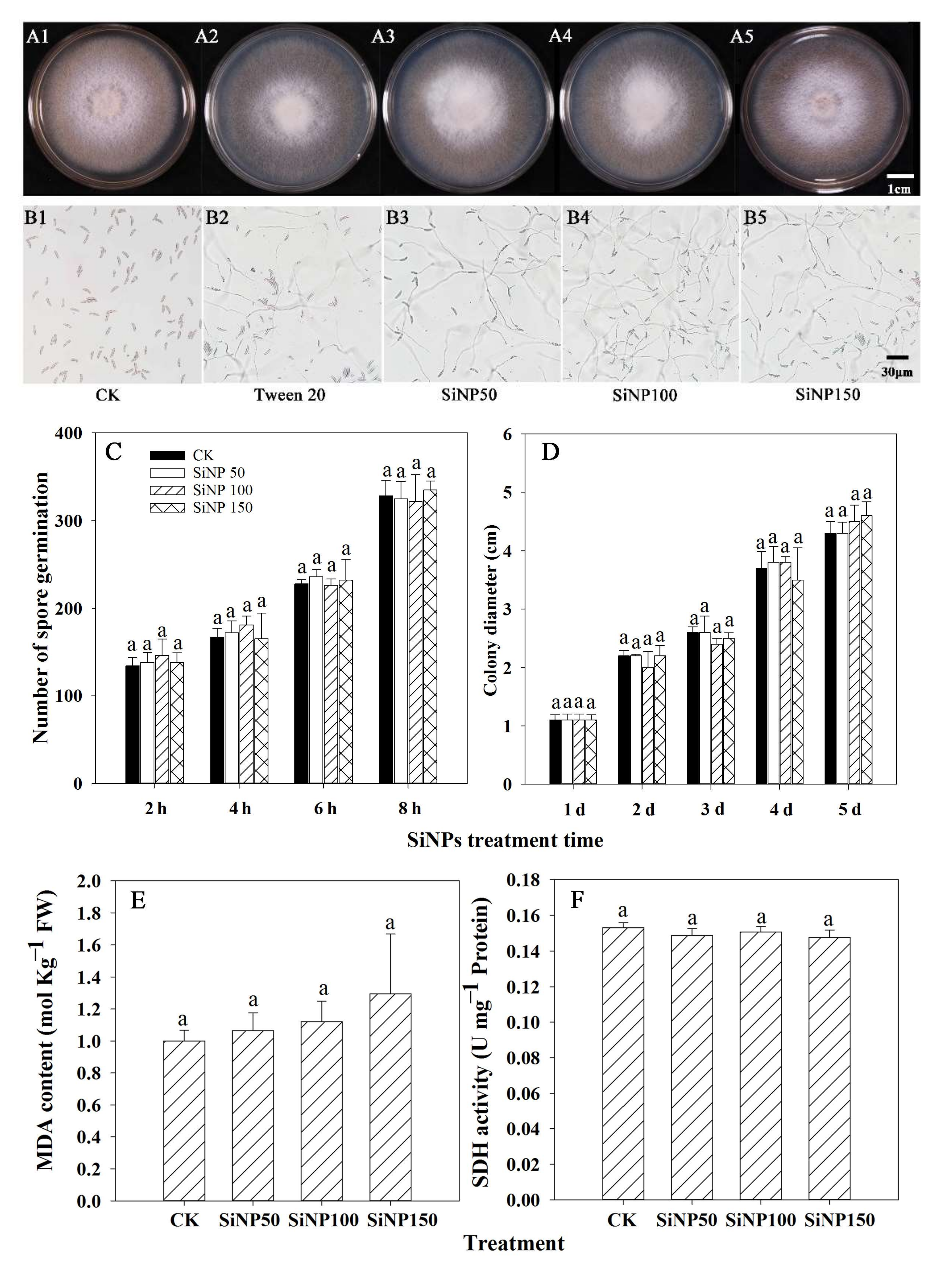 Nanomaterials 12 01418 g001
