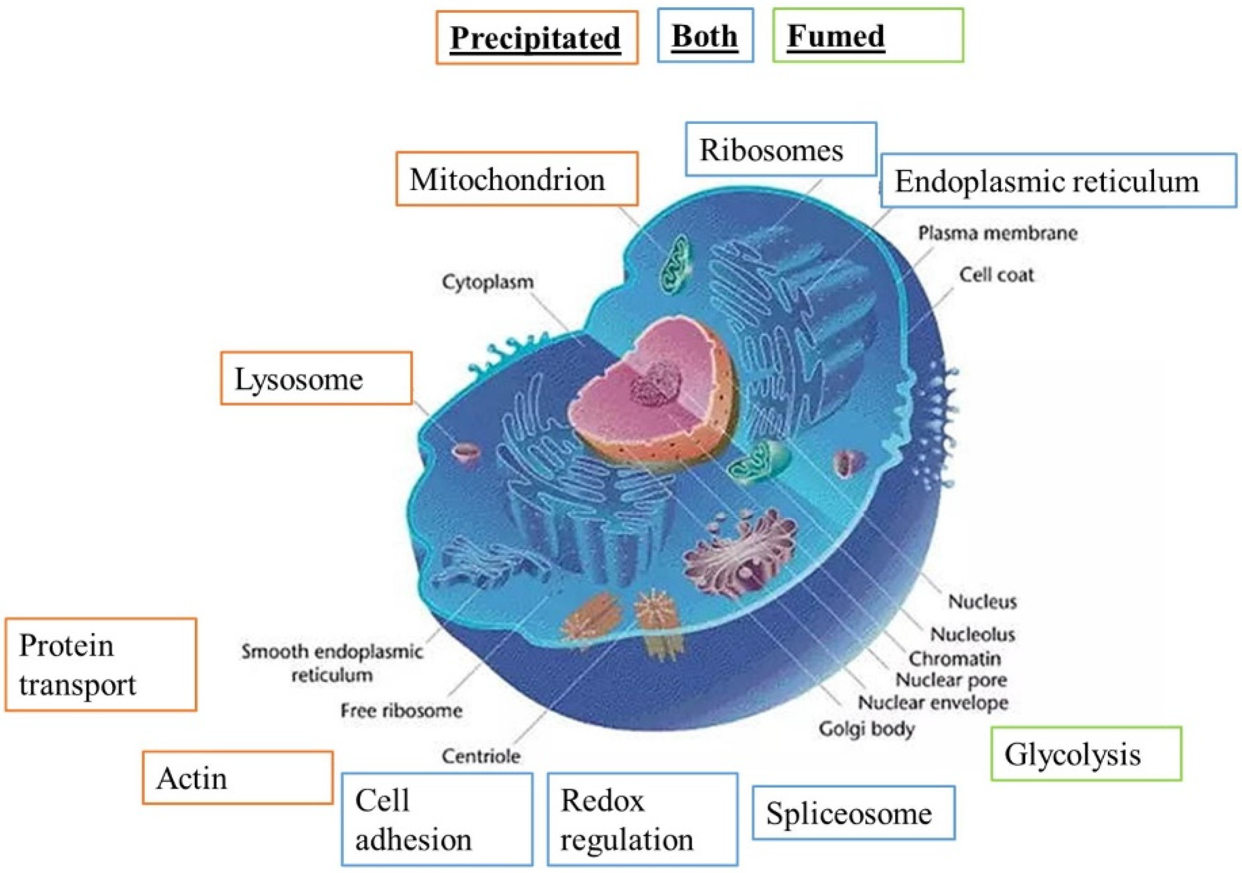 Nanomaterials 12 01424 g003