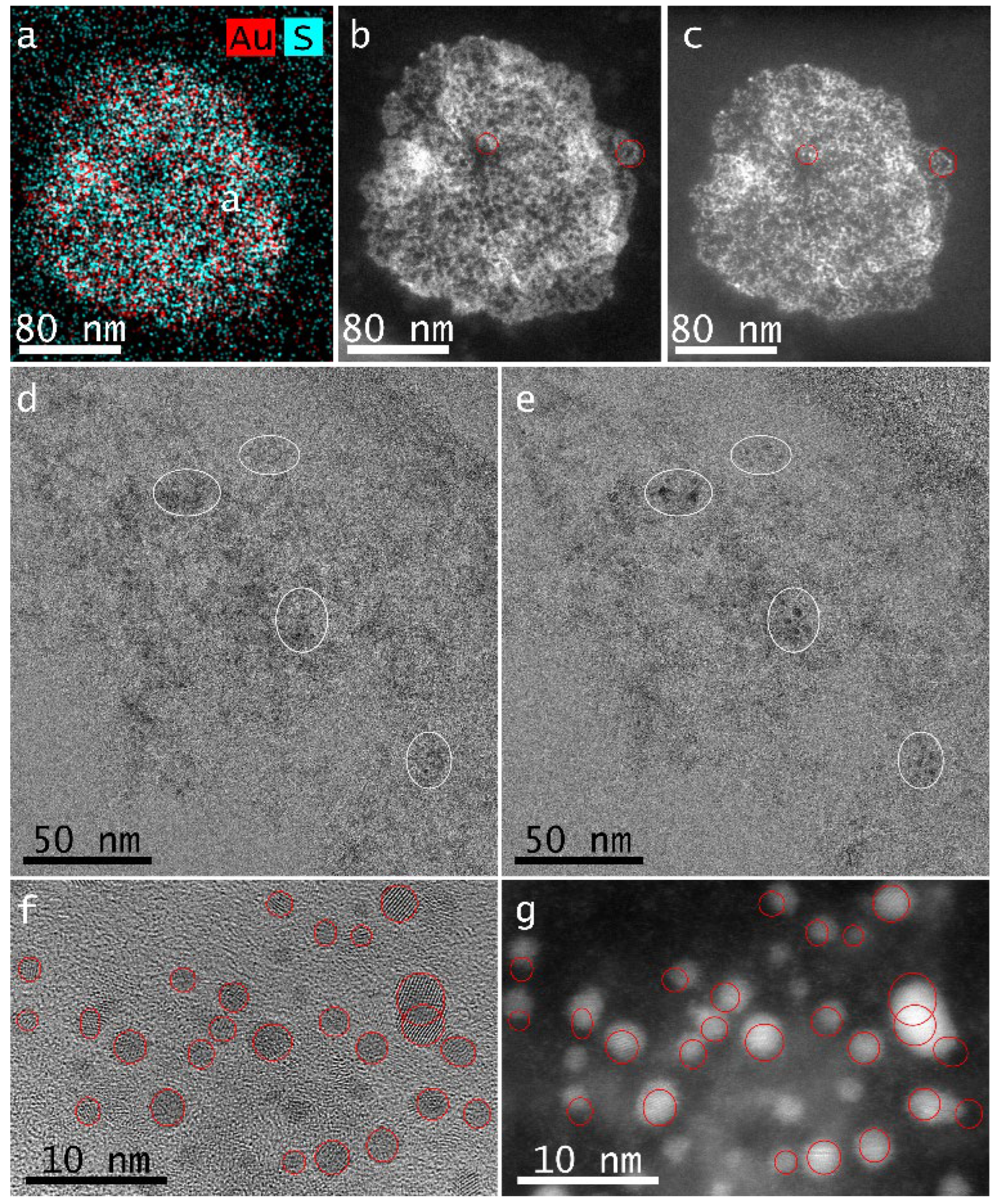 Nanomaterials 12 01425 g003