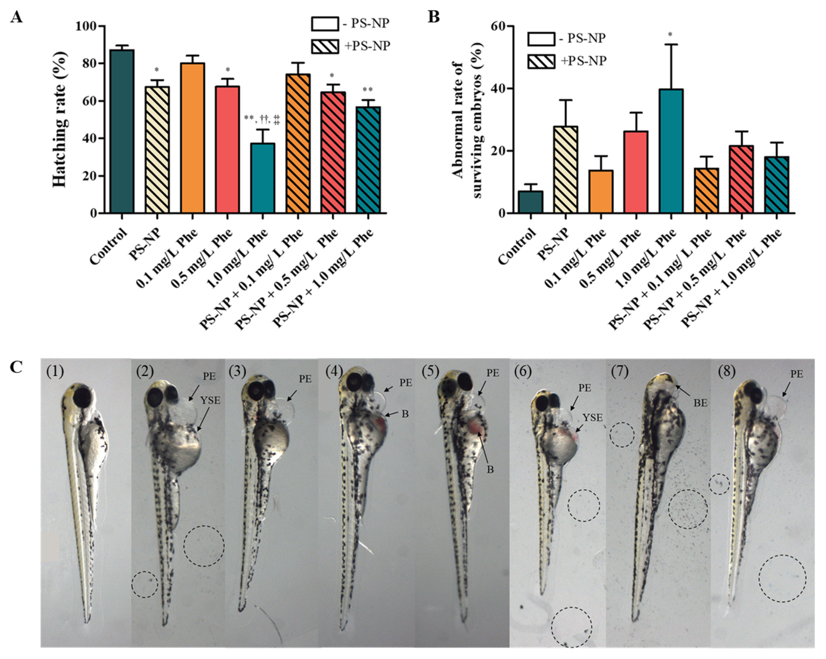 Nanomaterials 12 01427 g001