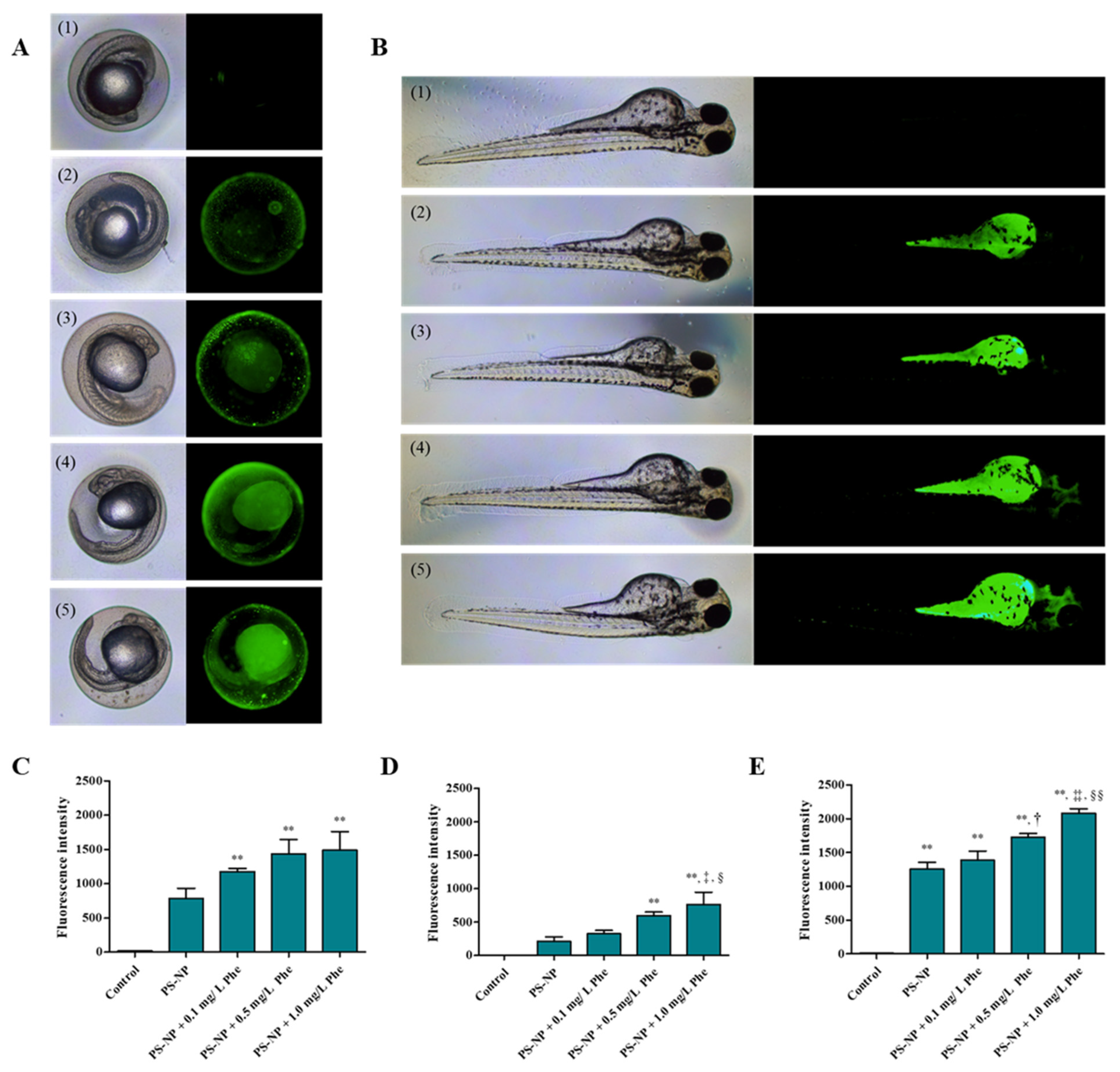 Nanomaterials 12 01427 g002