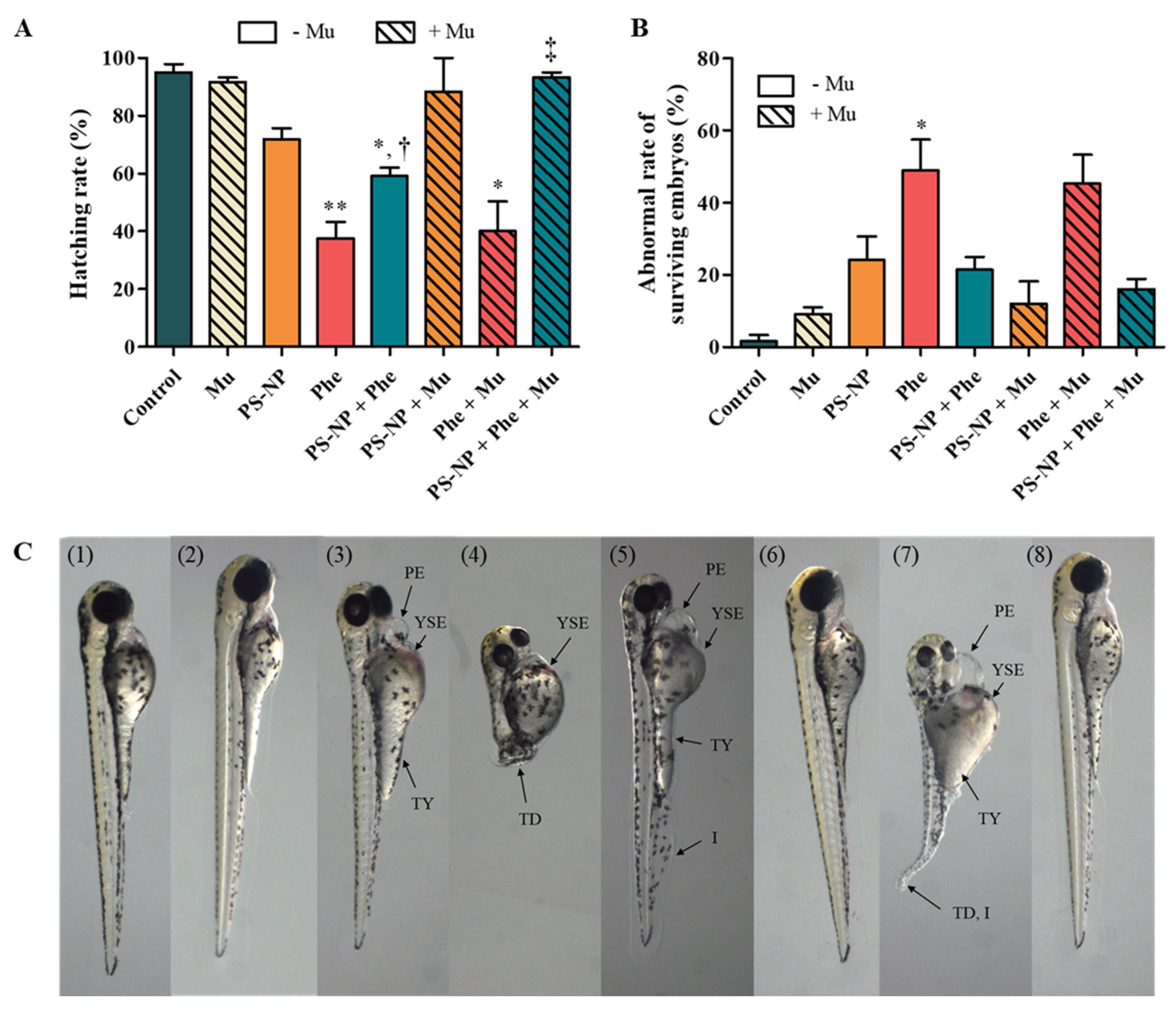 Nanomaterials 12 01427 g003