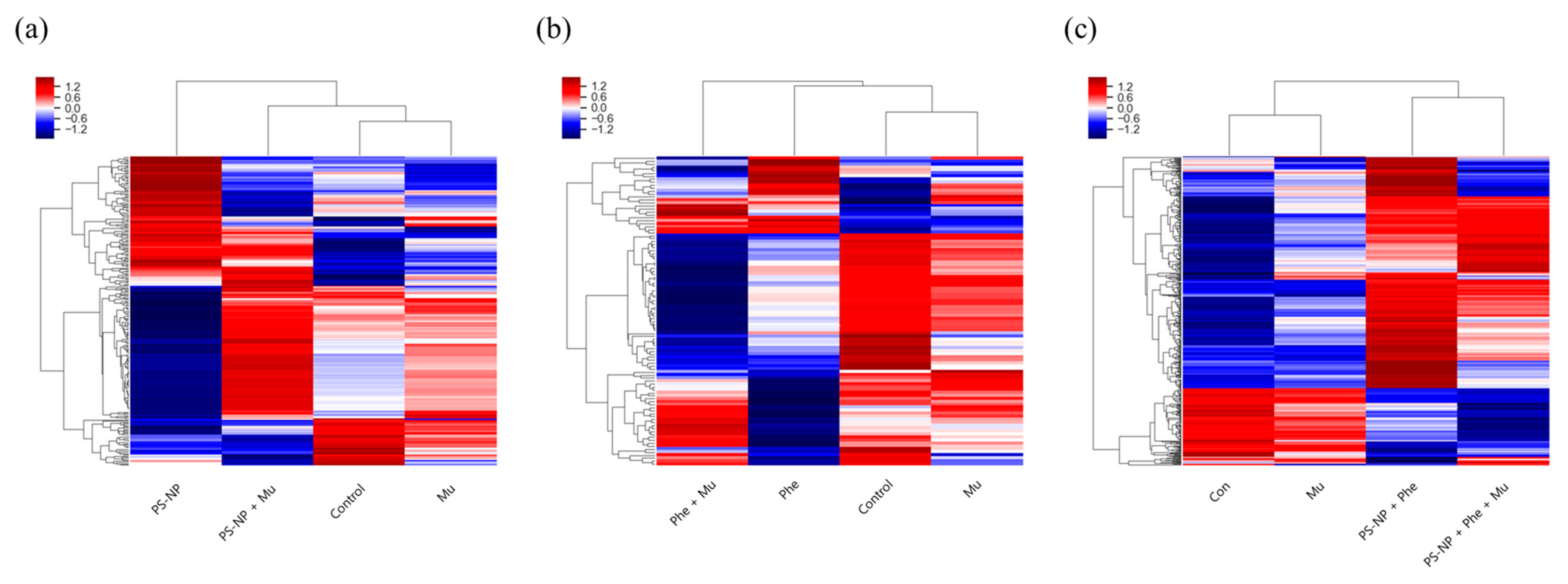 Nanomaterials 12 01427 g005