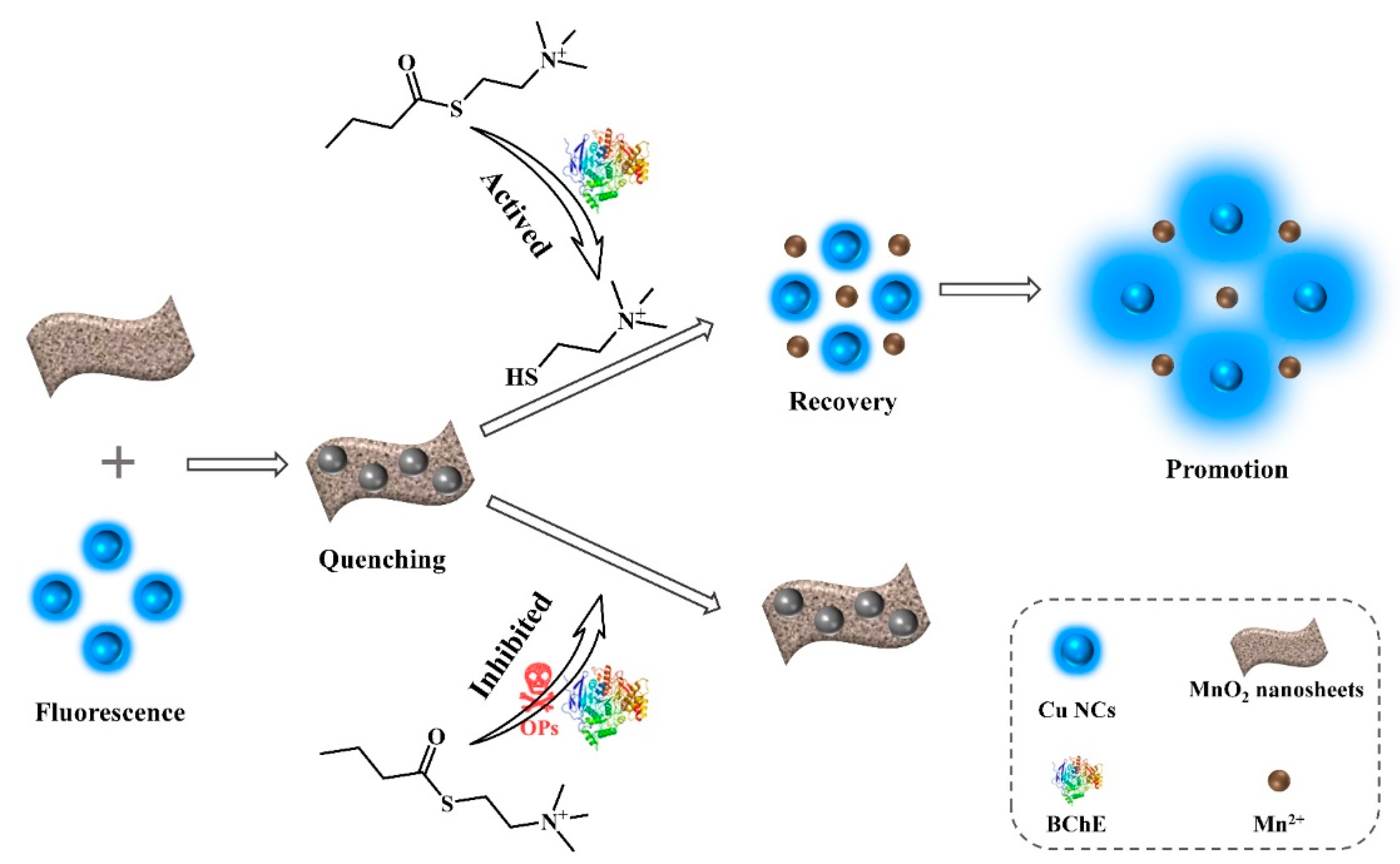 Nanomaterials 12 01429 g001