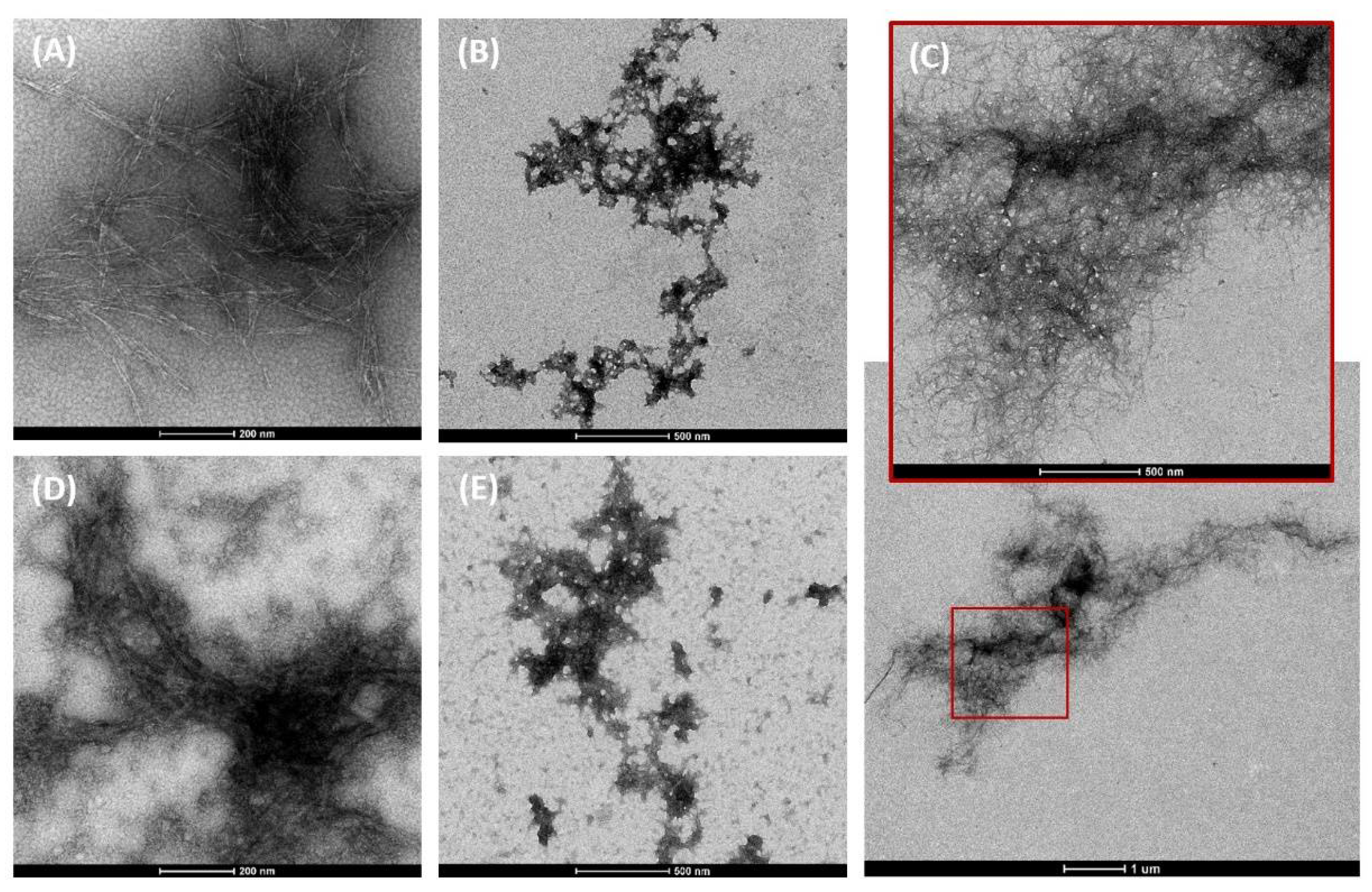 Nanomaterials 12 01432 g002
