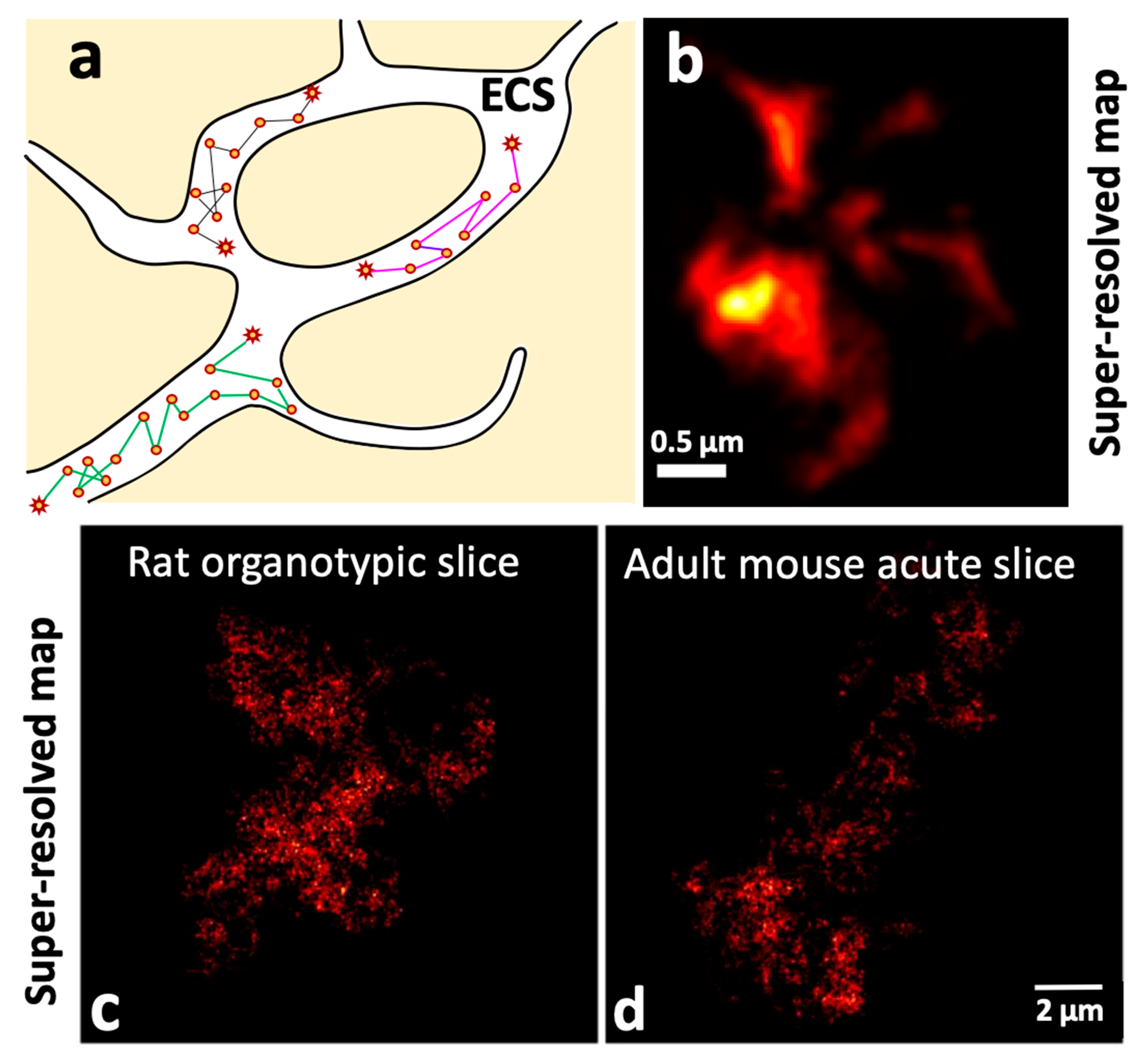 Nanomaterials 12 01433 g007