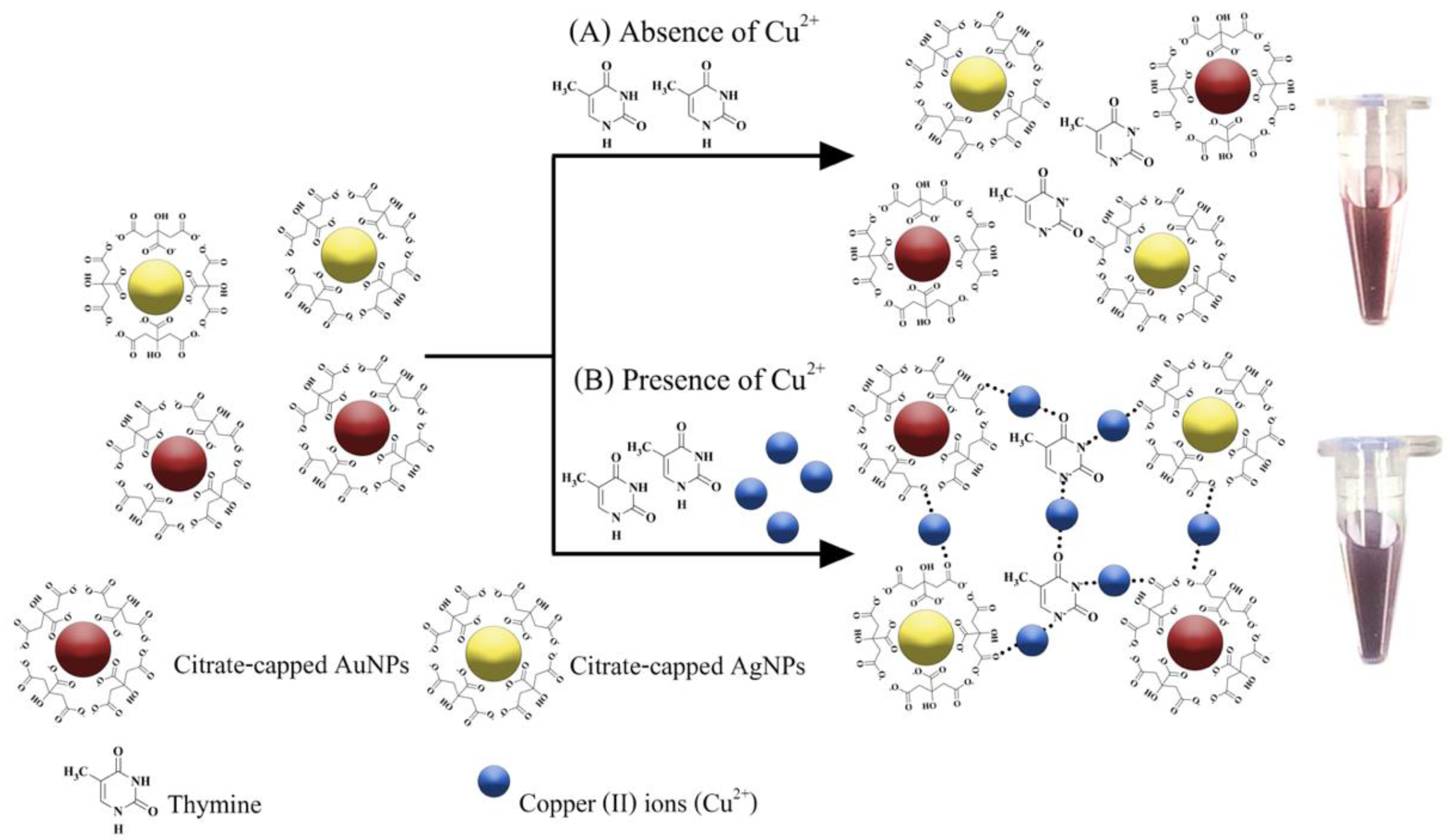 Nanomaterials 12 01449 g001