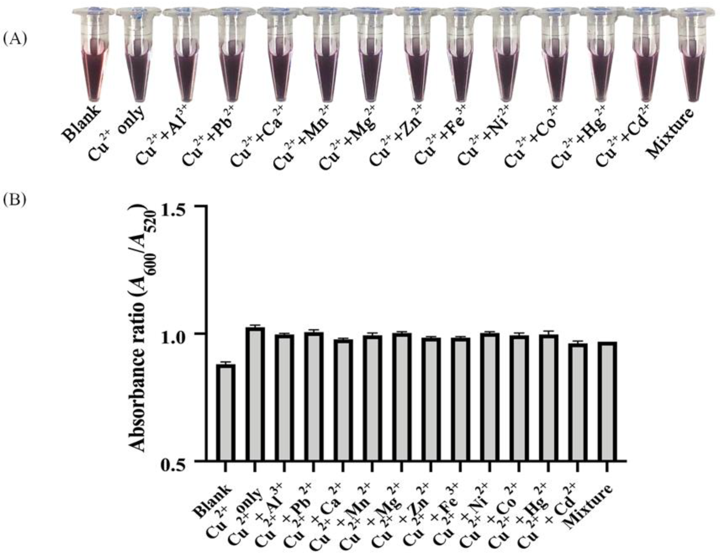 Nanomaterials 12 01449 g008