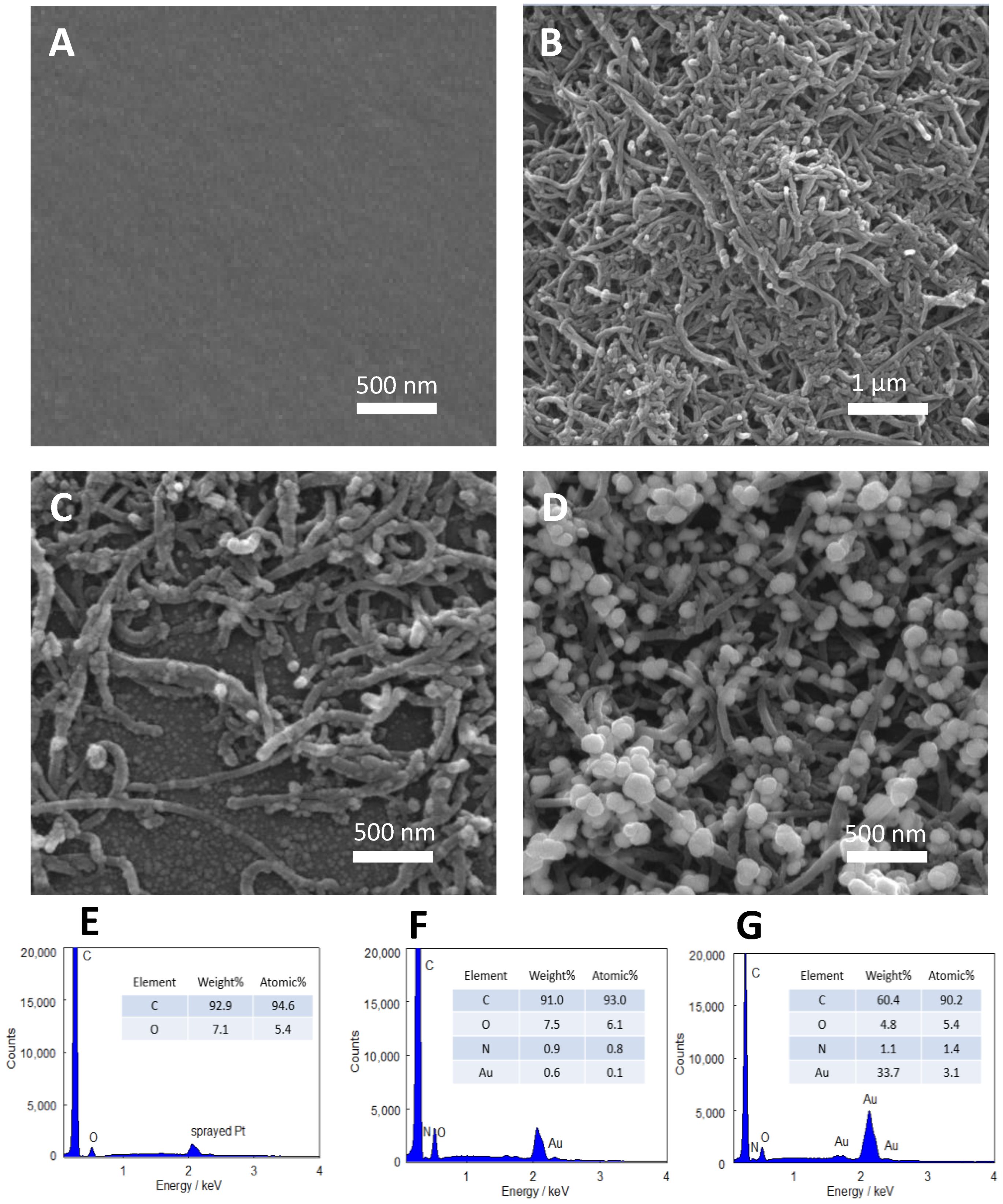 Nanomaterials 12 01450 g004