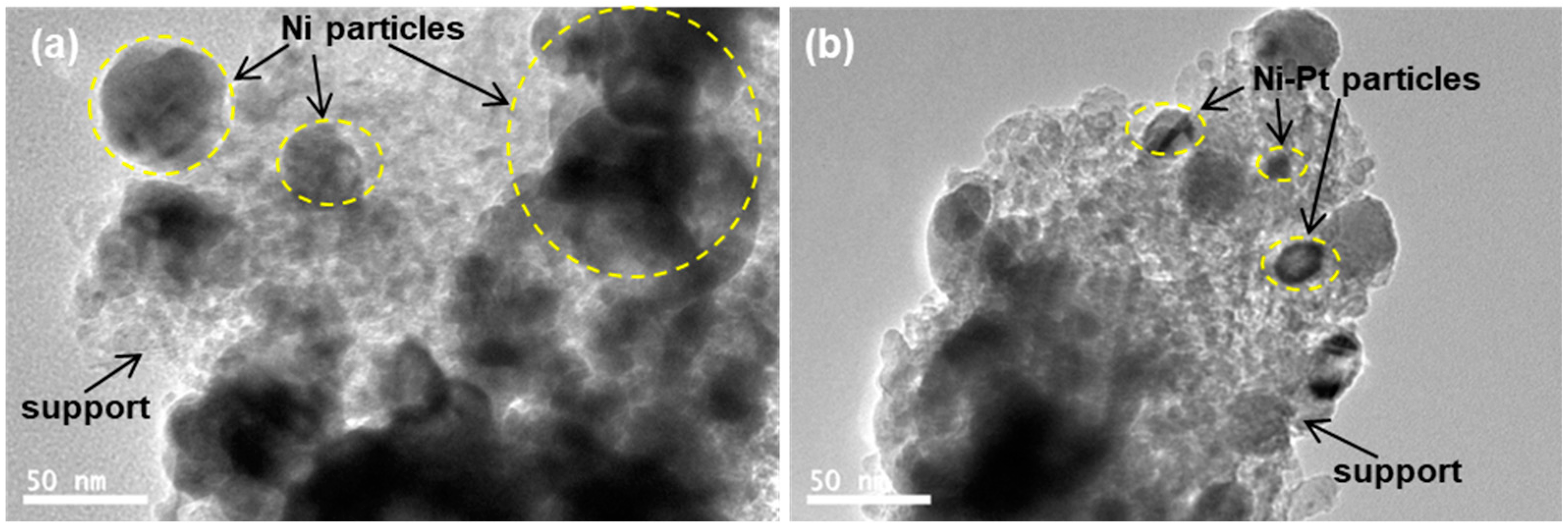 Nanomaterials 12 01451 g003