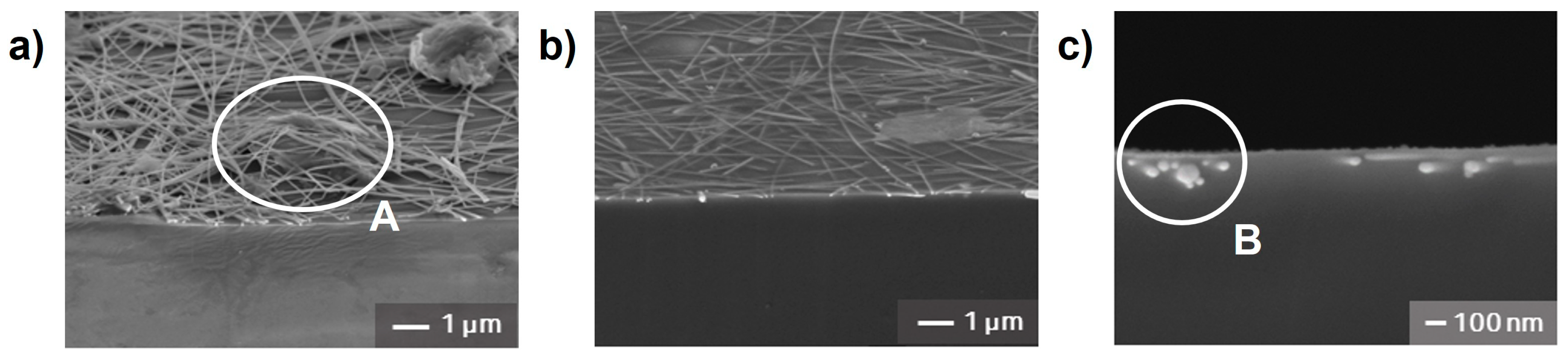 Nanomaterials 12 01457 g004
