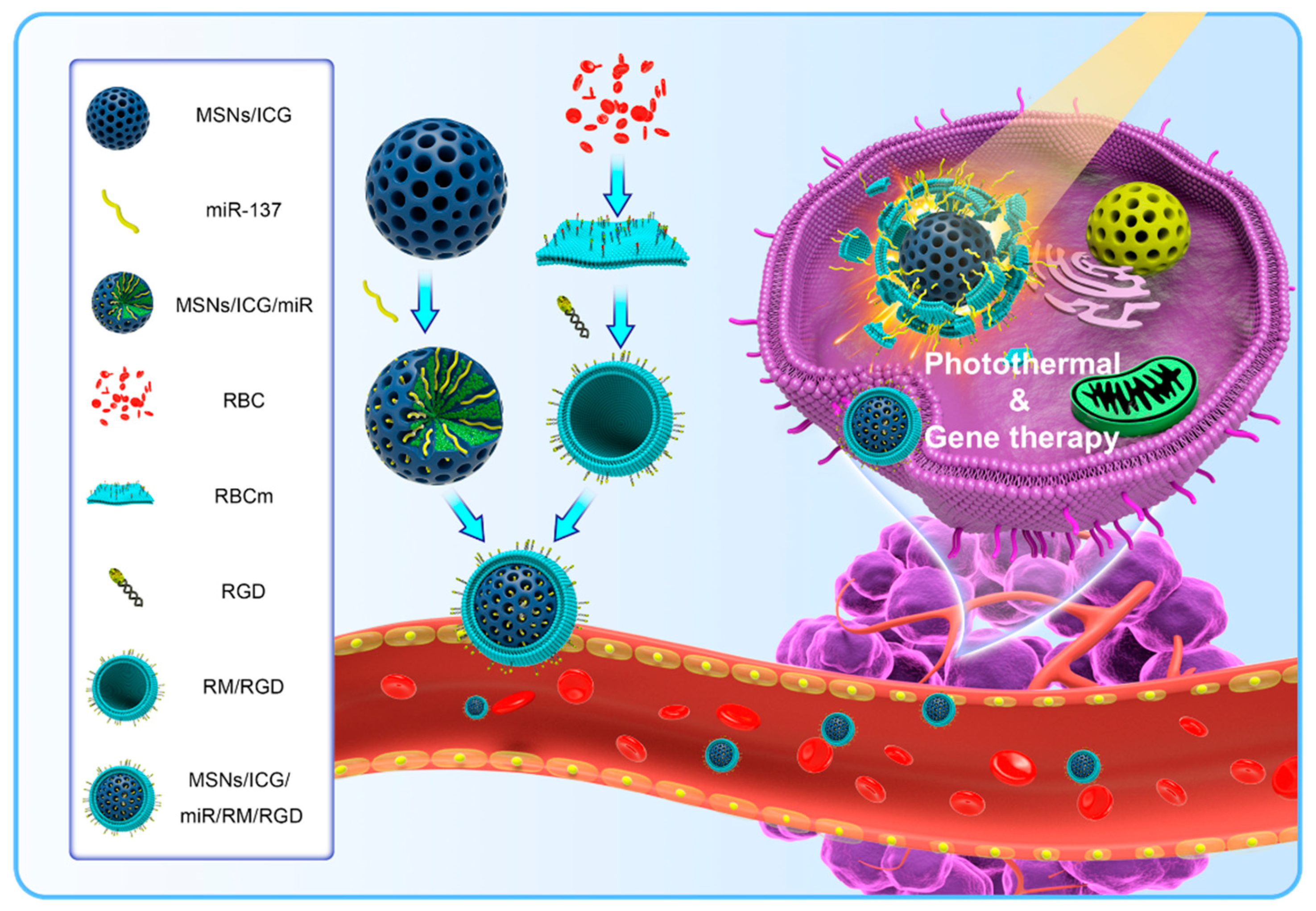 Nanomaterials 12 01464 sch001 550