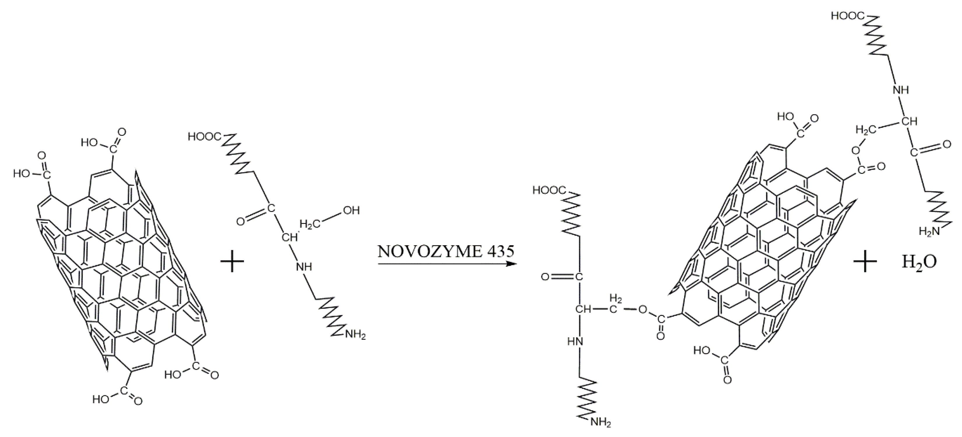 Nanomaterials 12 01465 g001