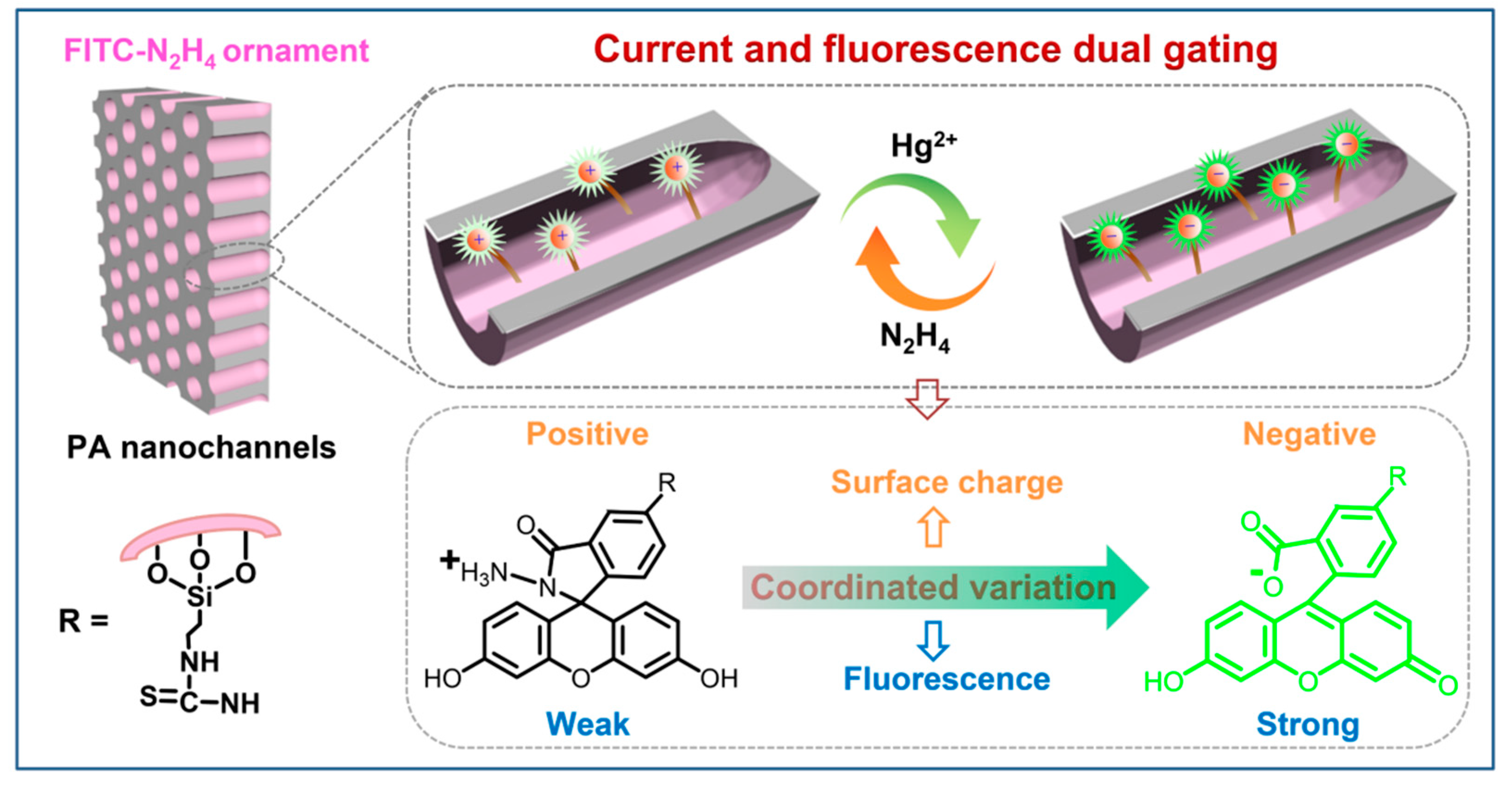 Nanomaterials 12 01468 g001