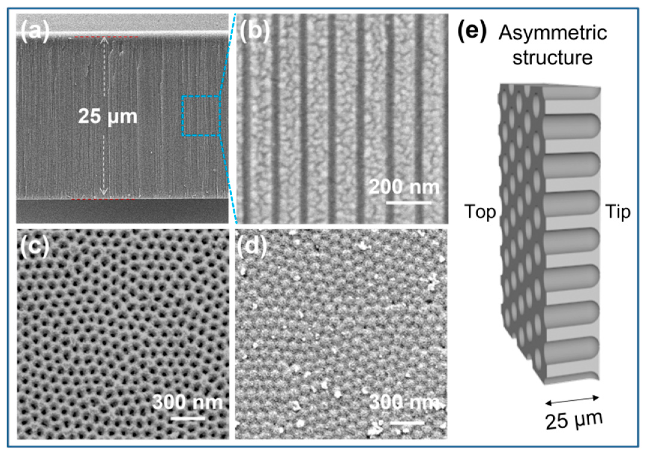 Nanomaterials 12 01468 g002