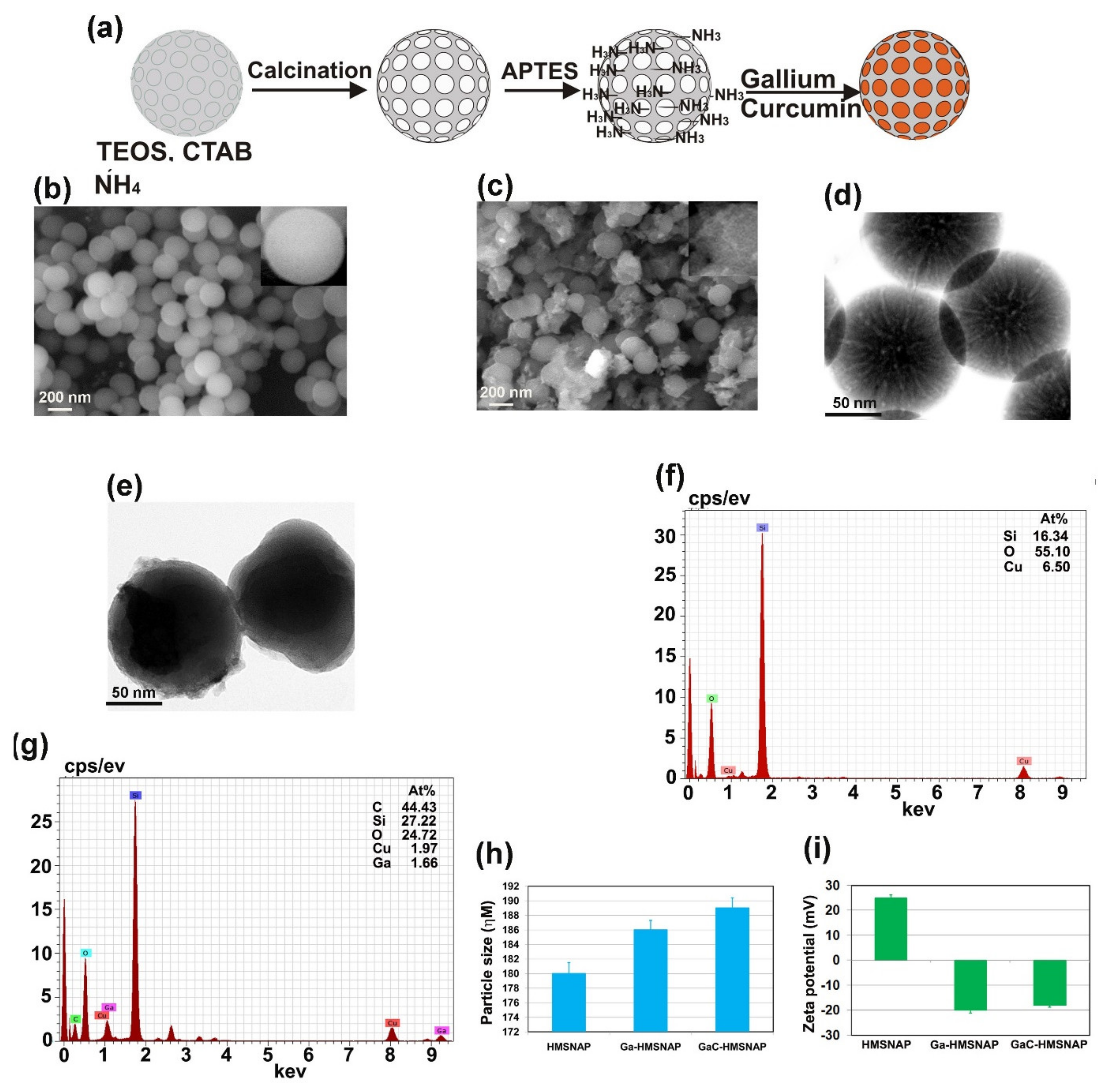 Nanomaterials 12 01472 g001