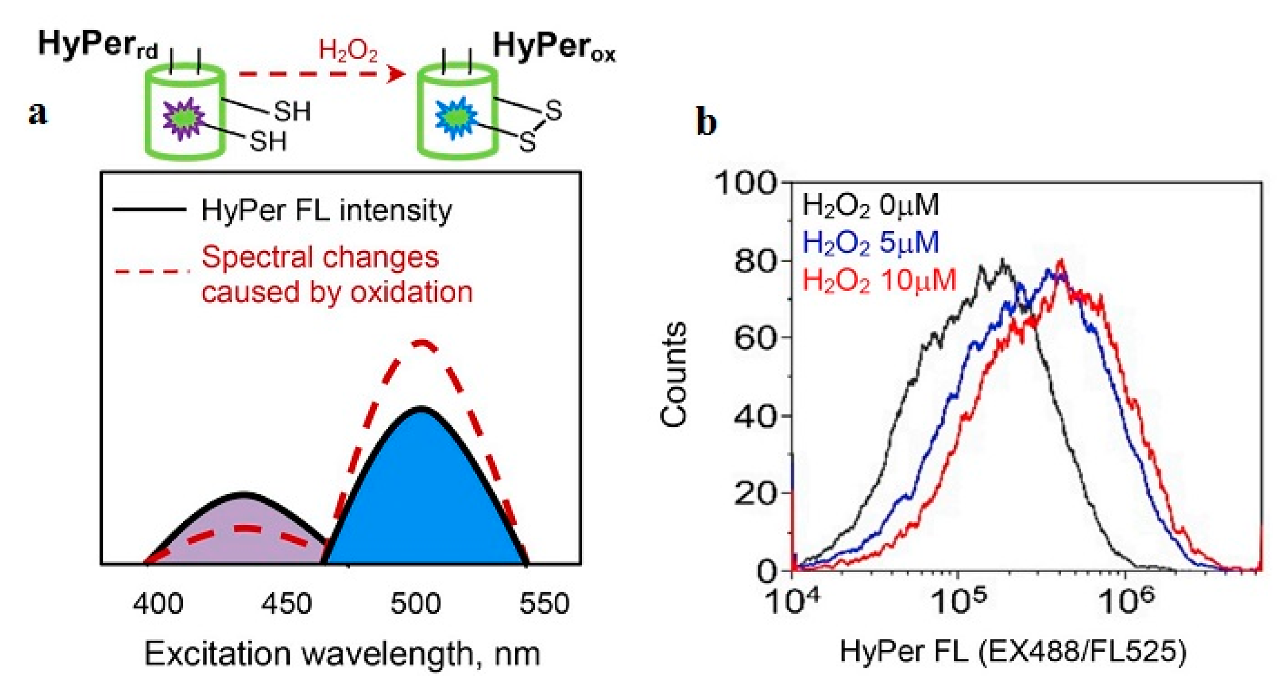 Nanomaterials 12 01475 g003 Nanomaterials 12 01475 g003