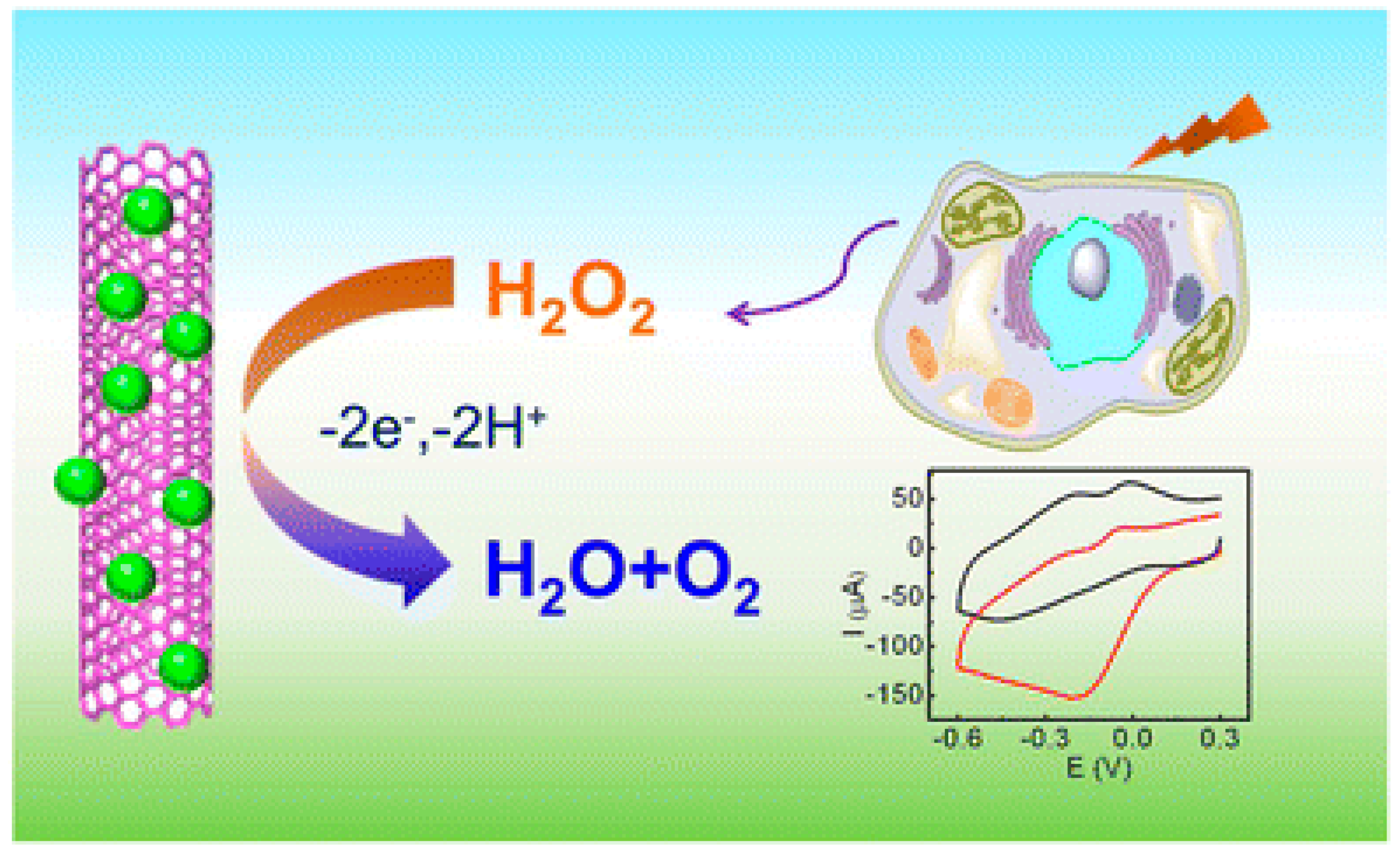 Nanomaterials 12 01475 g007 Nanomaterials 12 01475 g007