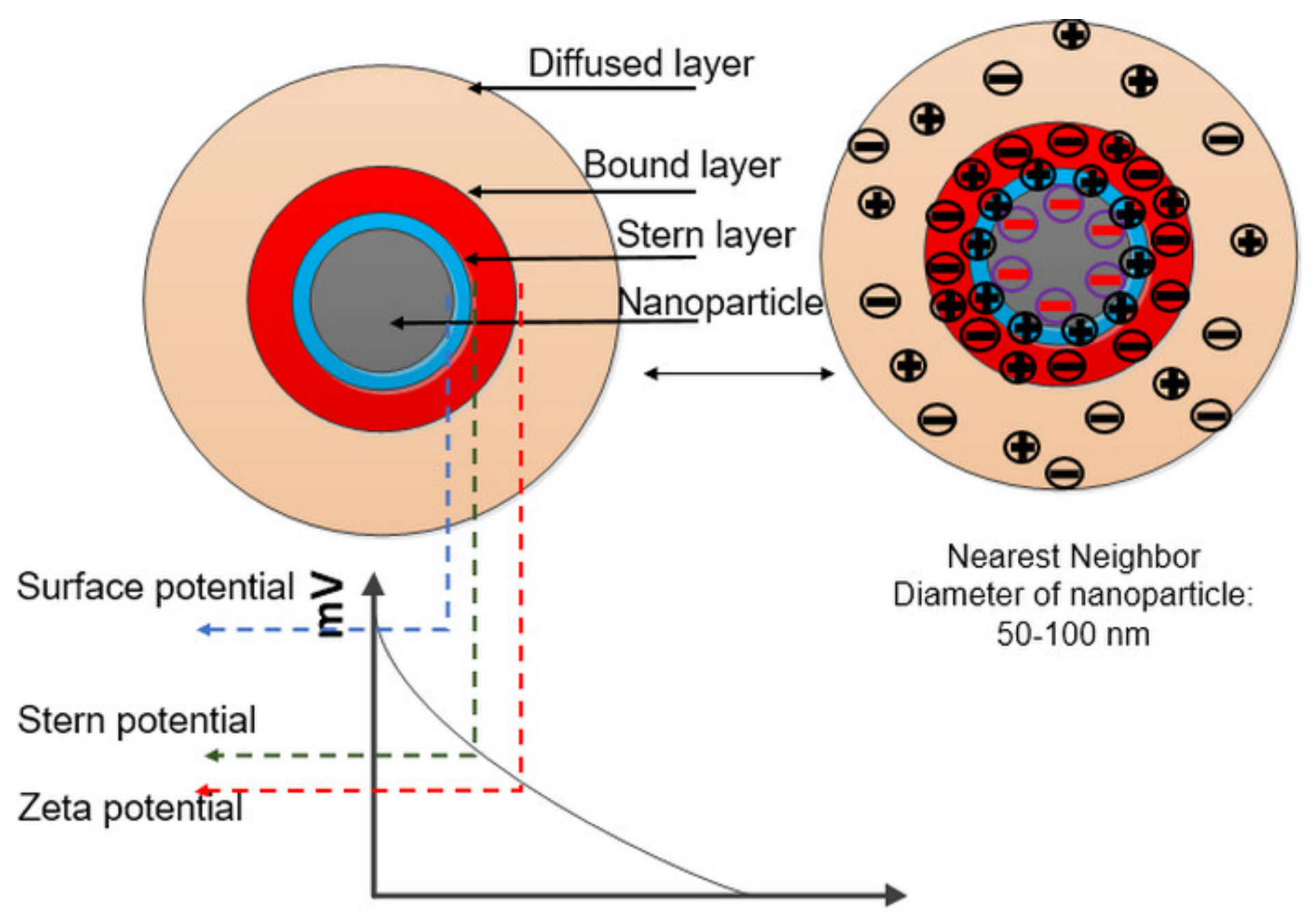 Nanomaterials 12 01489 g007