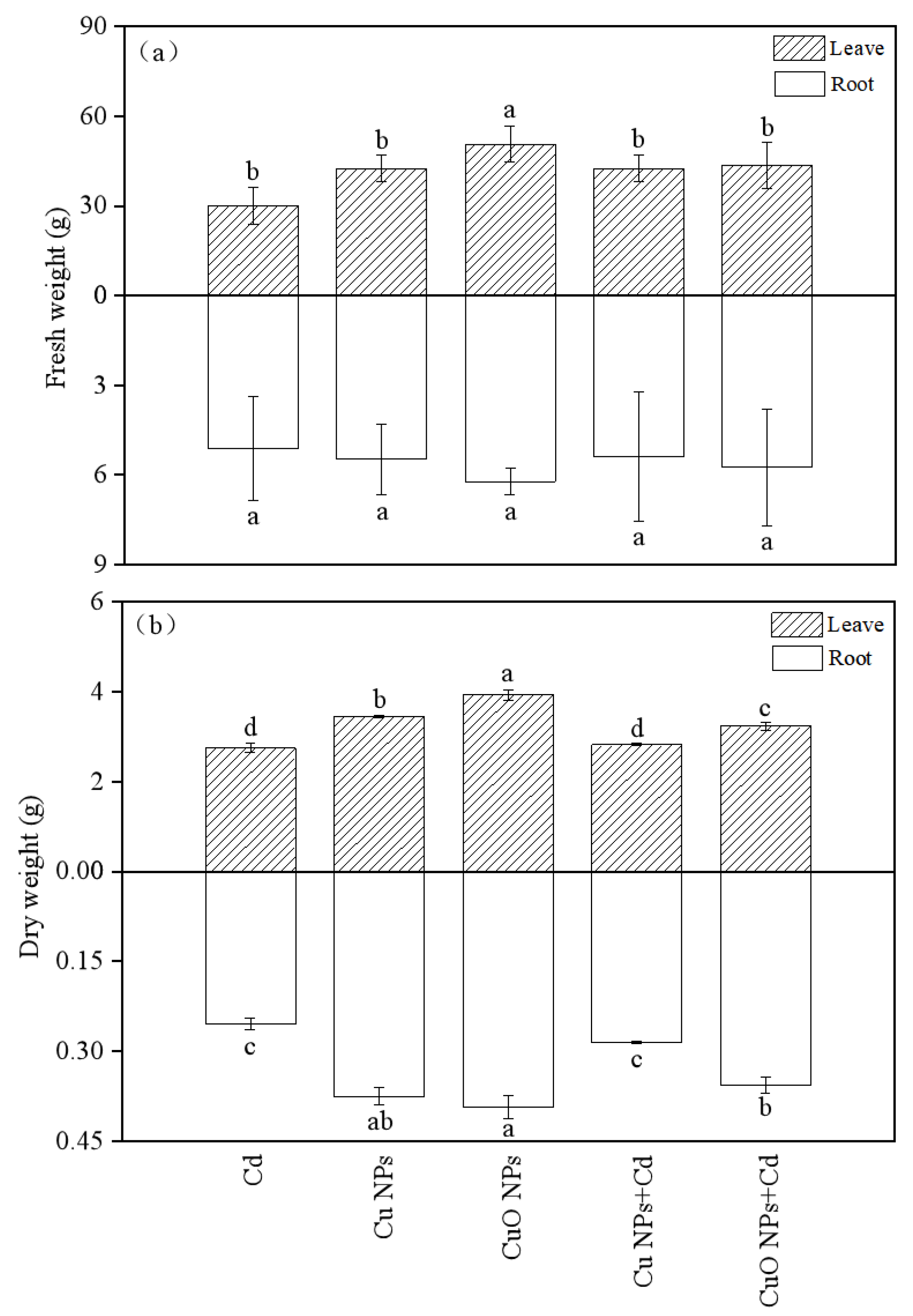 Nanomaterials 12 01497 g001 Nanomaterials 12 01497 g001