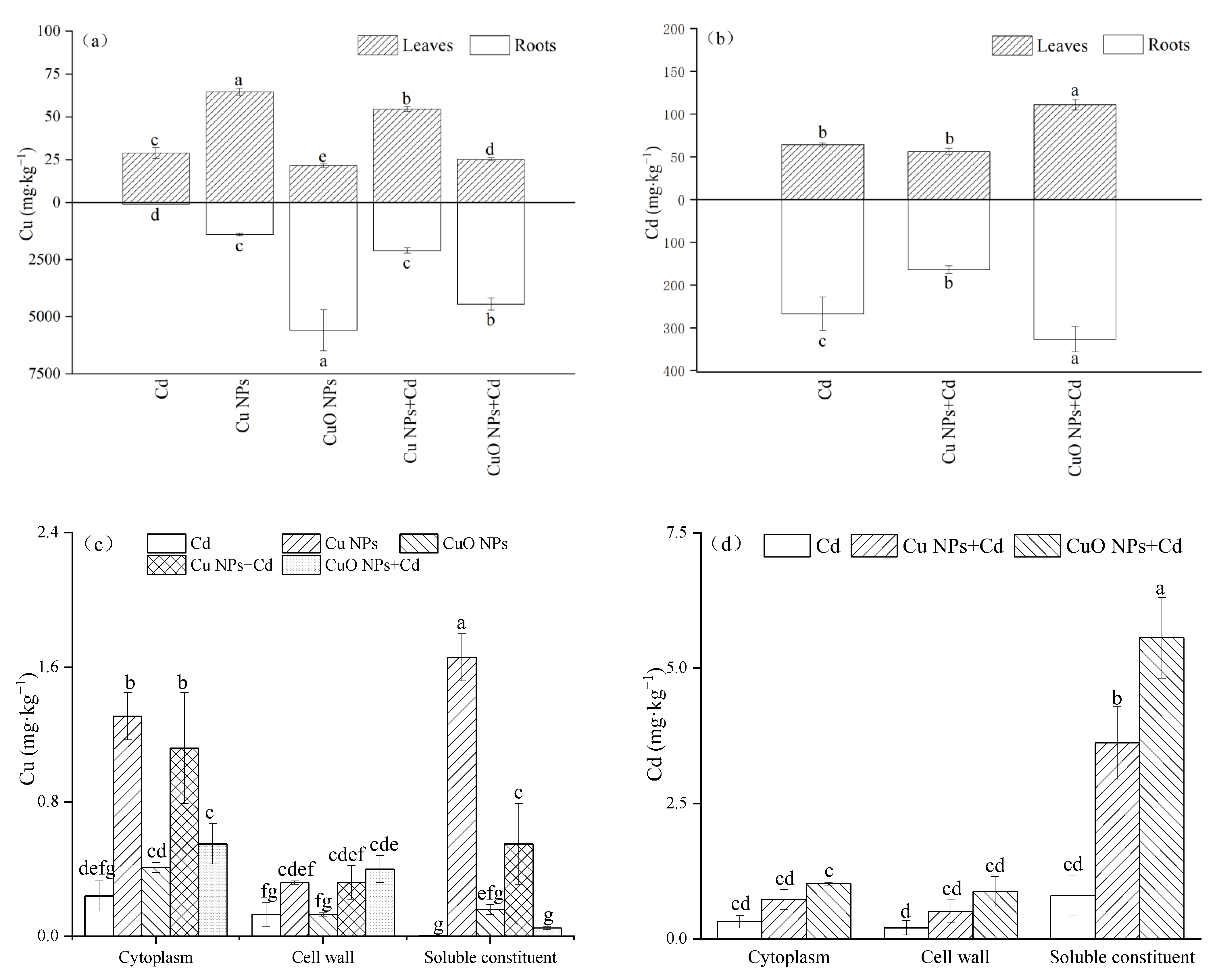 Nanomaterials 12 01497 g003 Nanomaterials 12 01497 g003