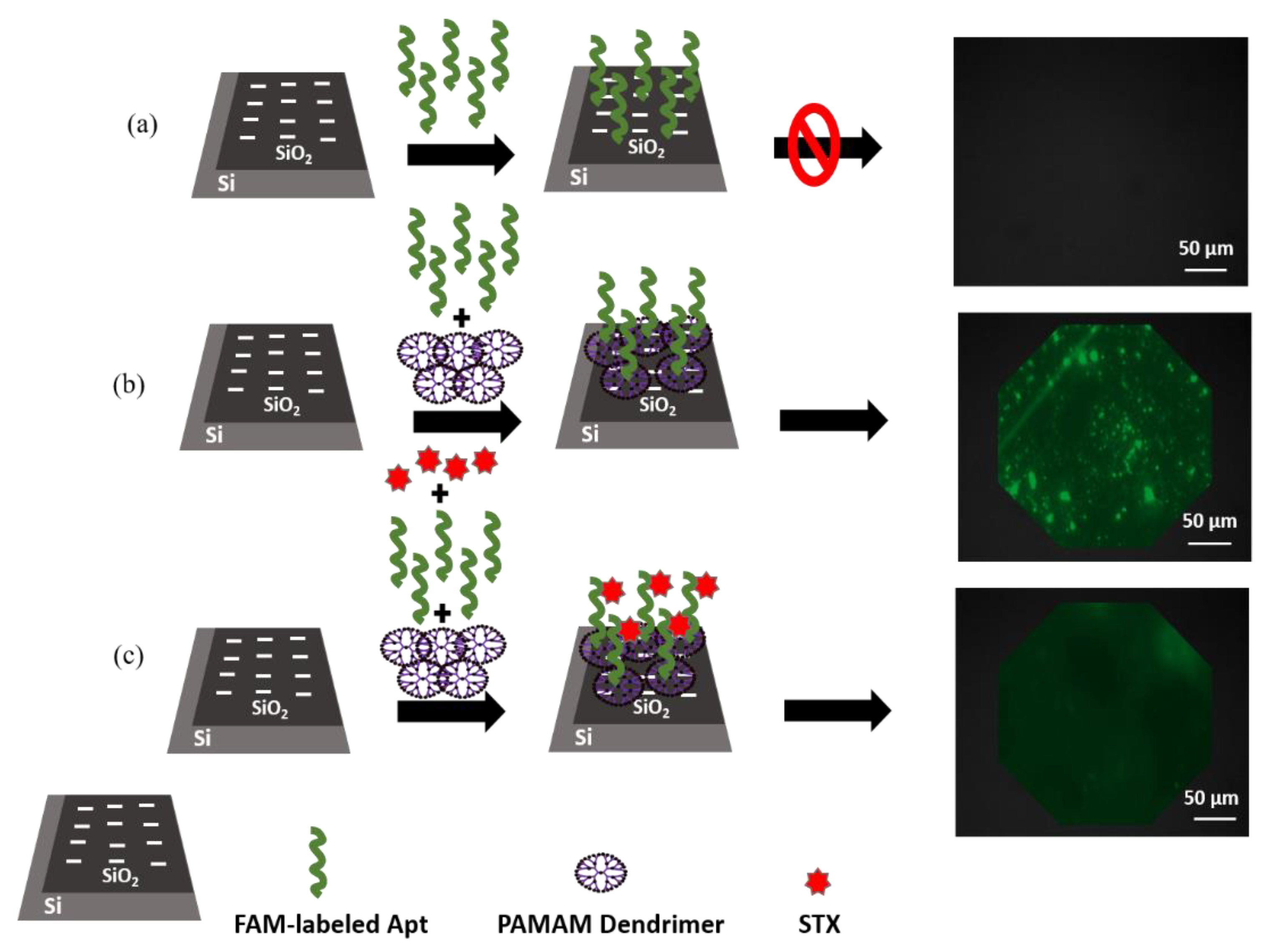 Nanomaterials 12 01505 g003