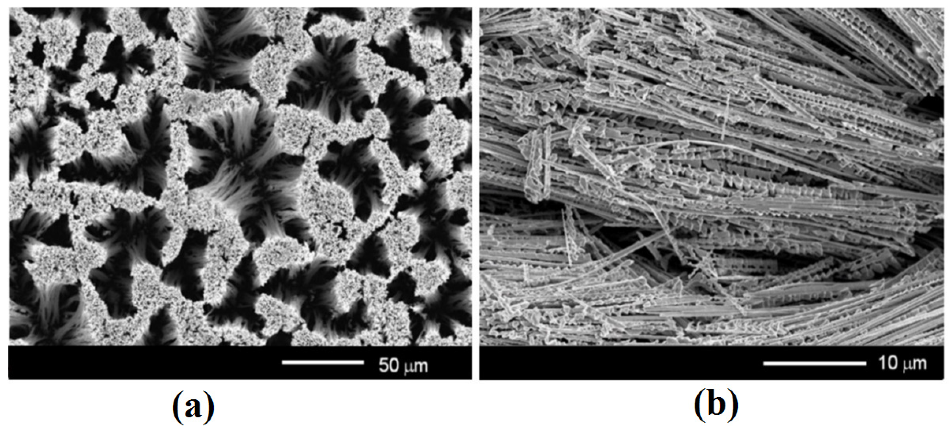Nanomaterials 12 01506 g001
