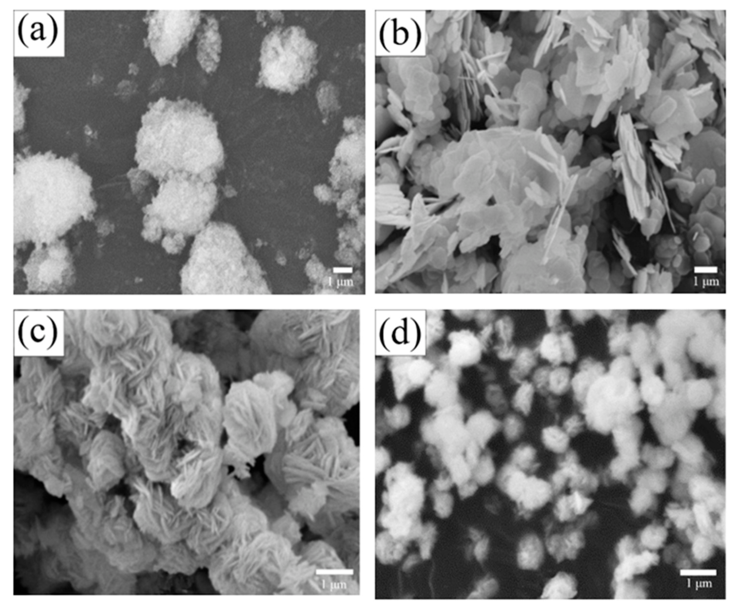 Nanomaterials 12 01508 g002