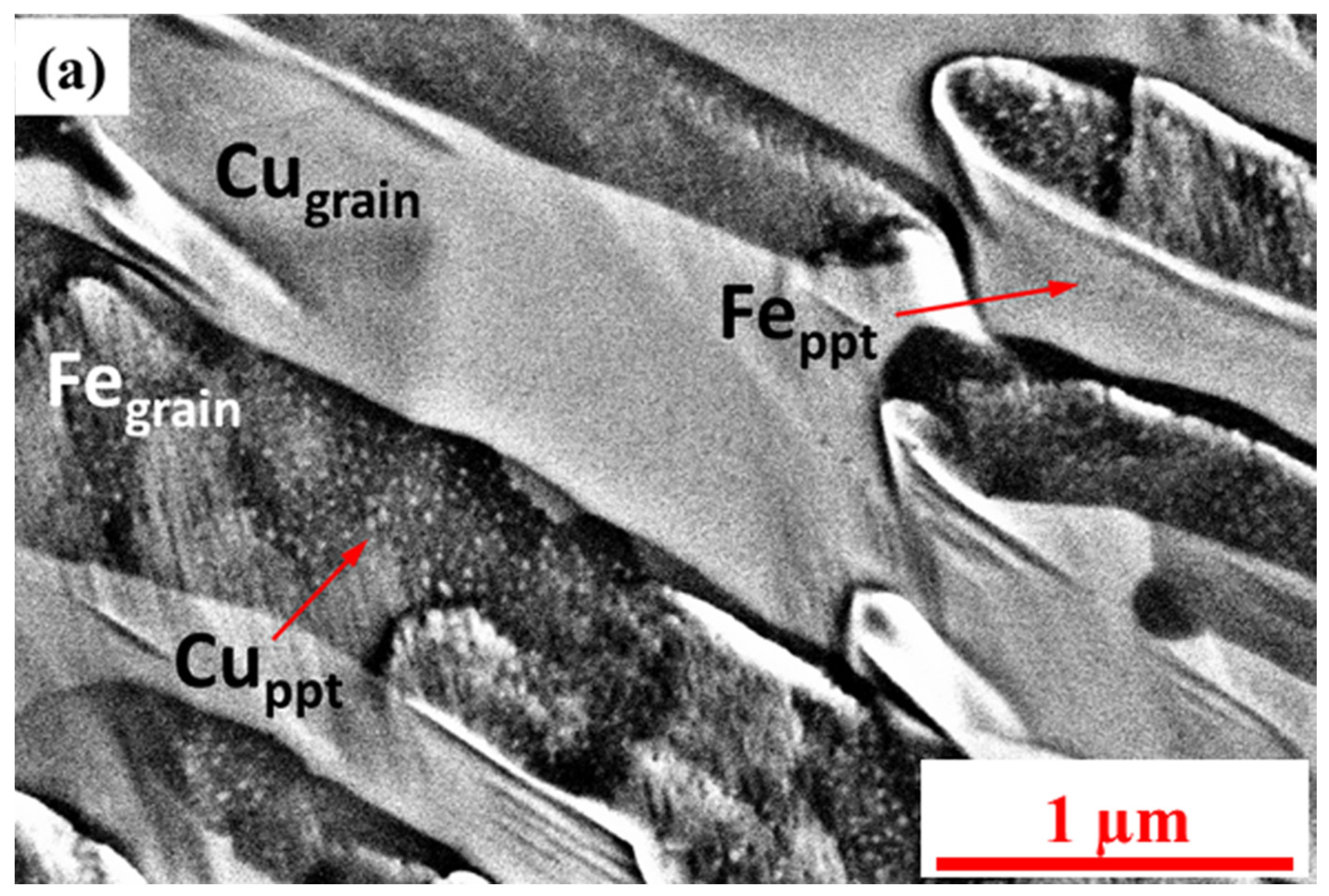 Nanomaterials 12 01514 g003a