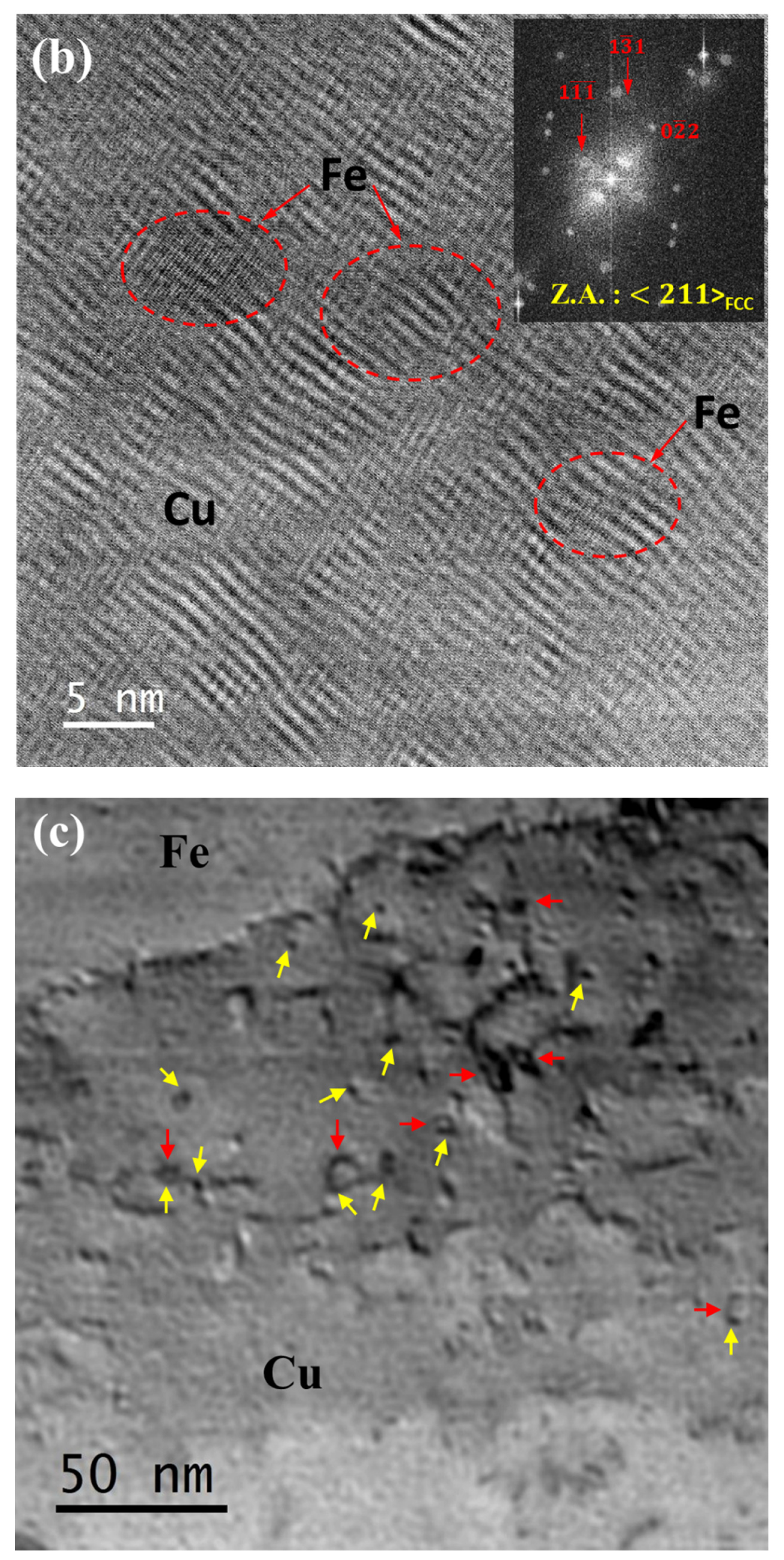 Nanomaterials 12 01514 g010b