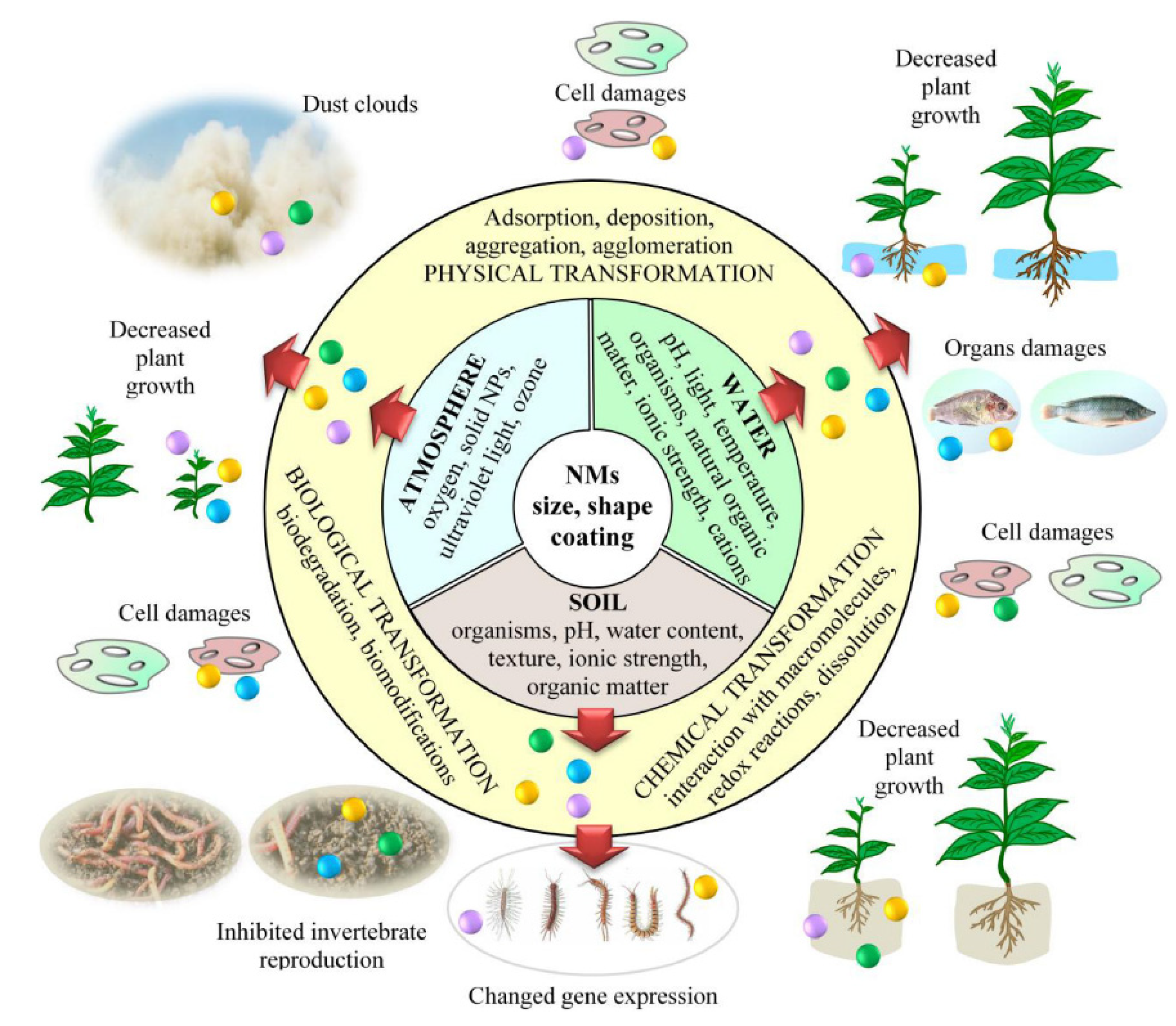 Nanomaterials 12 01515 g008 Nanomaterials 12 01515 g008