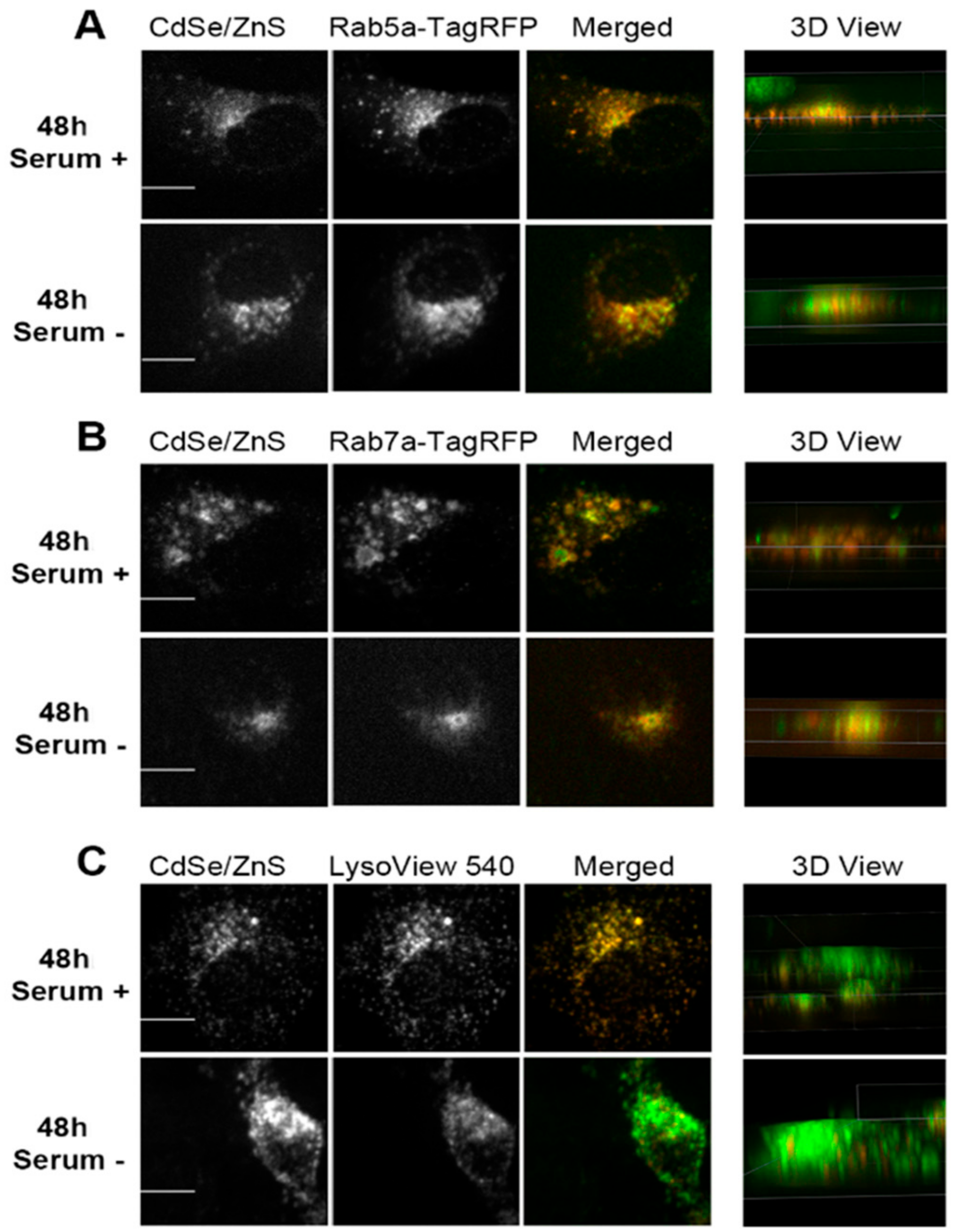 Nanomaterials 12 01517 g007