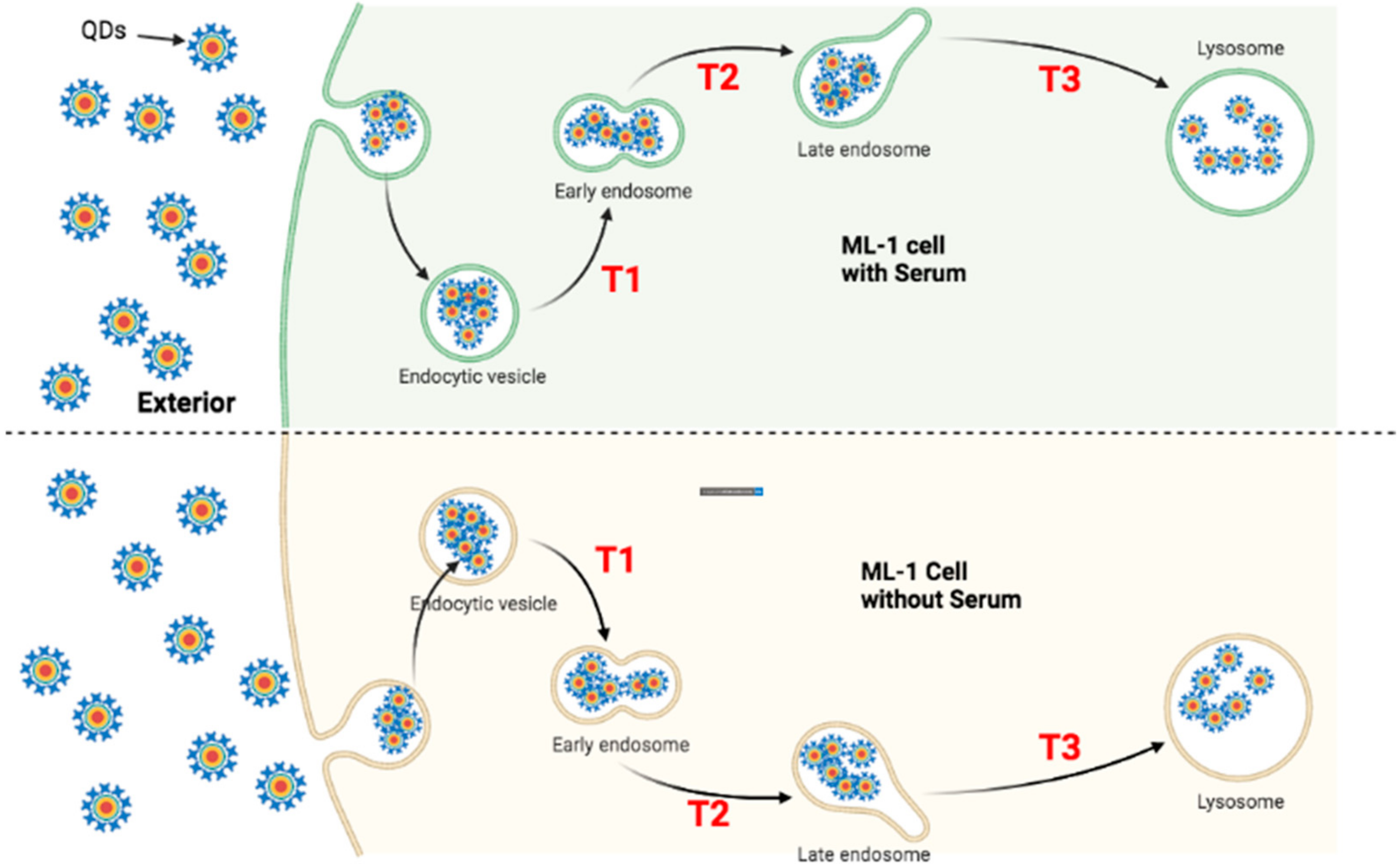 Nanomaterials 12 01517 g014