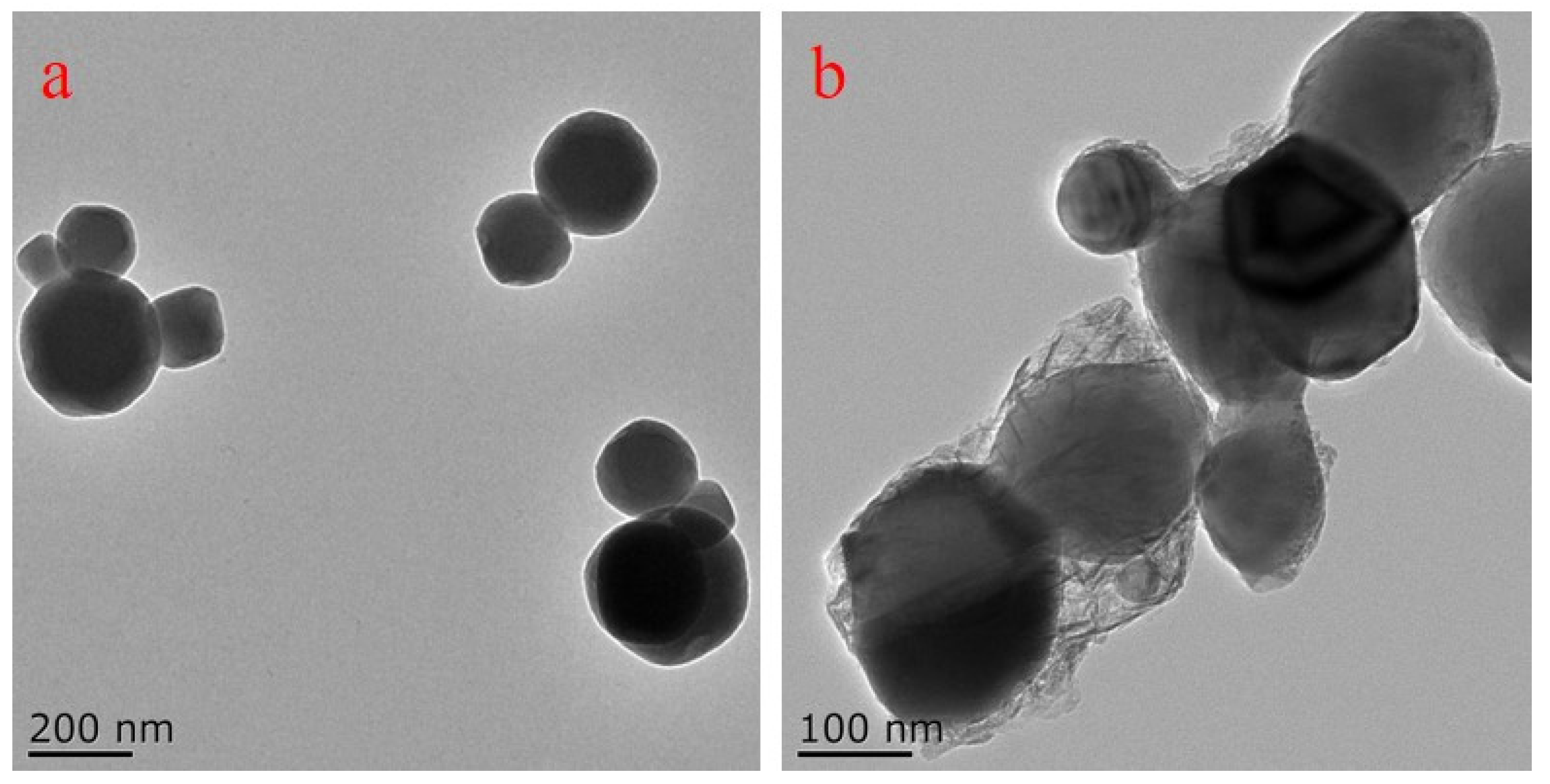 Nanomaterials 12 01519 g001